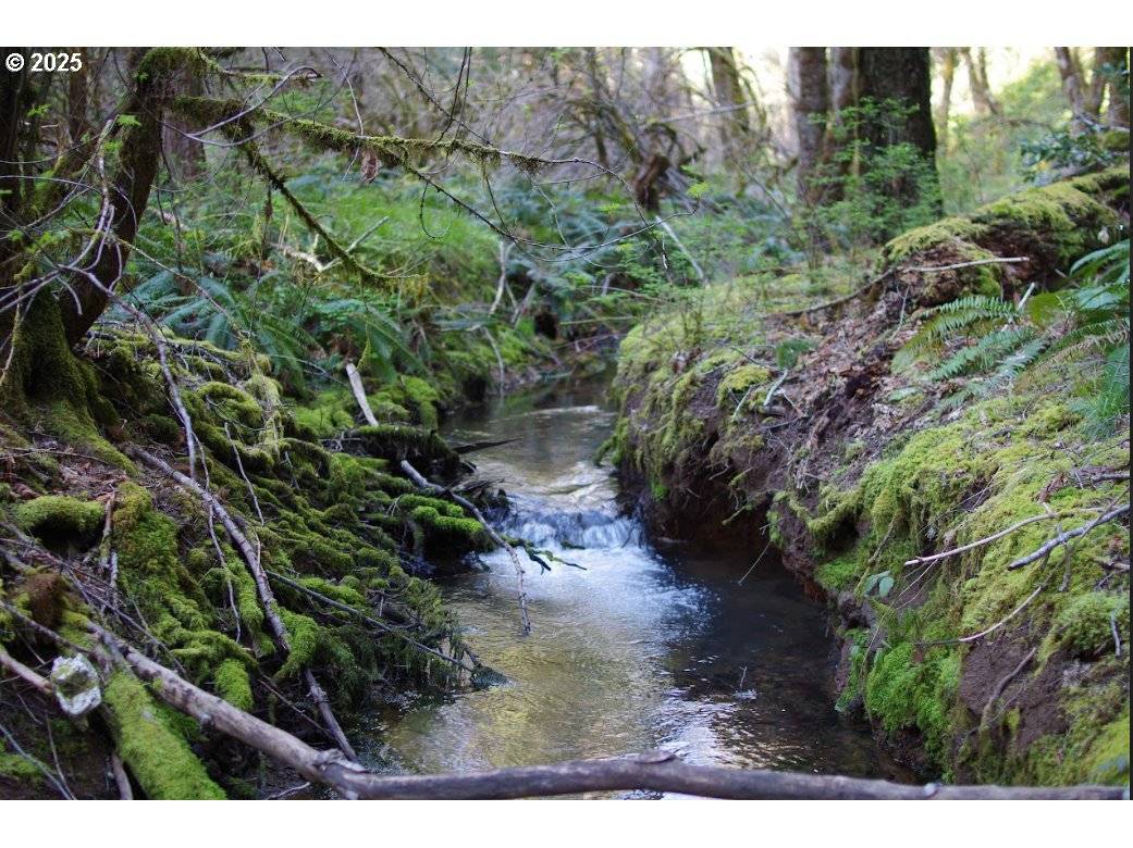 Selma, OR 97538,0 DAVIS CREEK RD