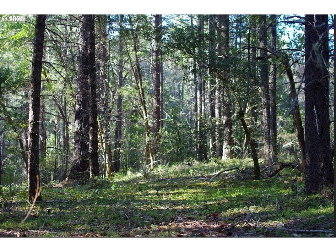 Selma, OR 97538,0 DAVIS CREEK RD