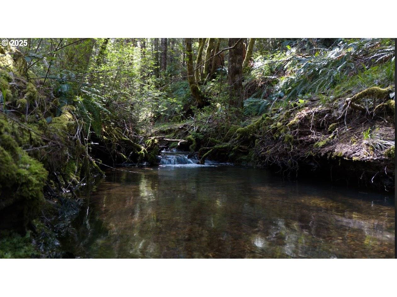 Selma, OR 97538,0 DAVIS CREEK RD