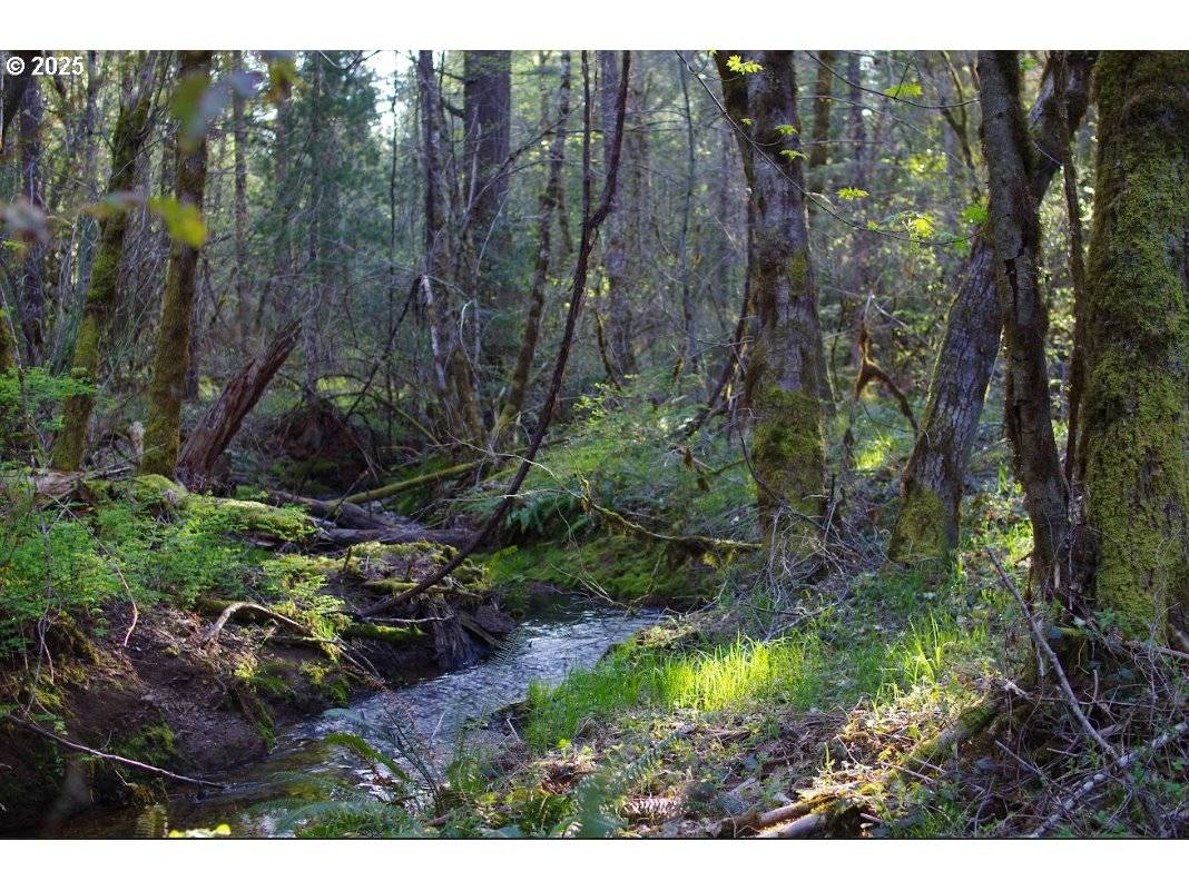 Selma, OR 97538,0 DAVIS CREEK RD