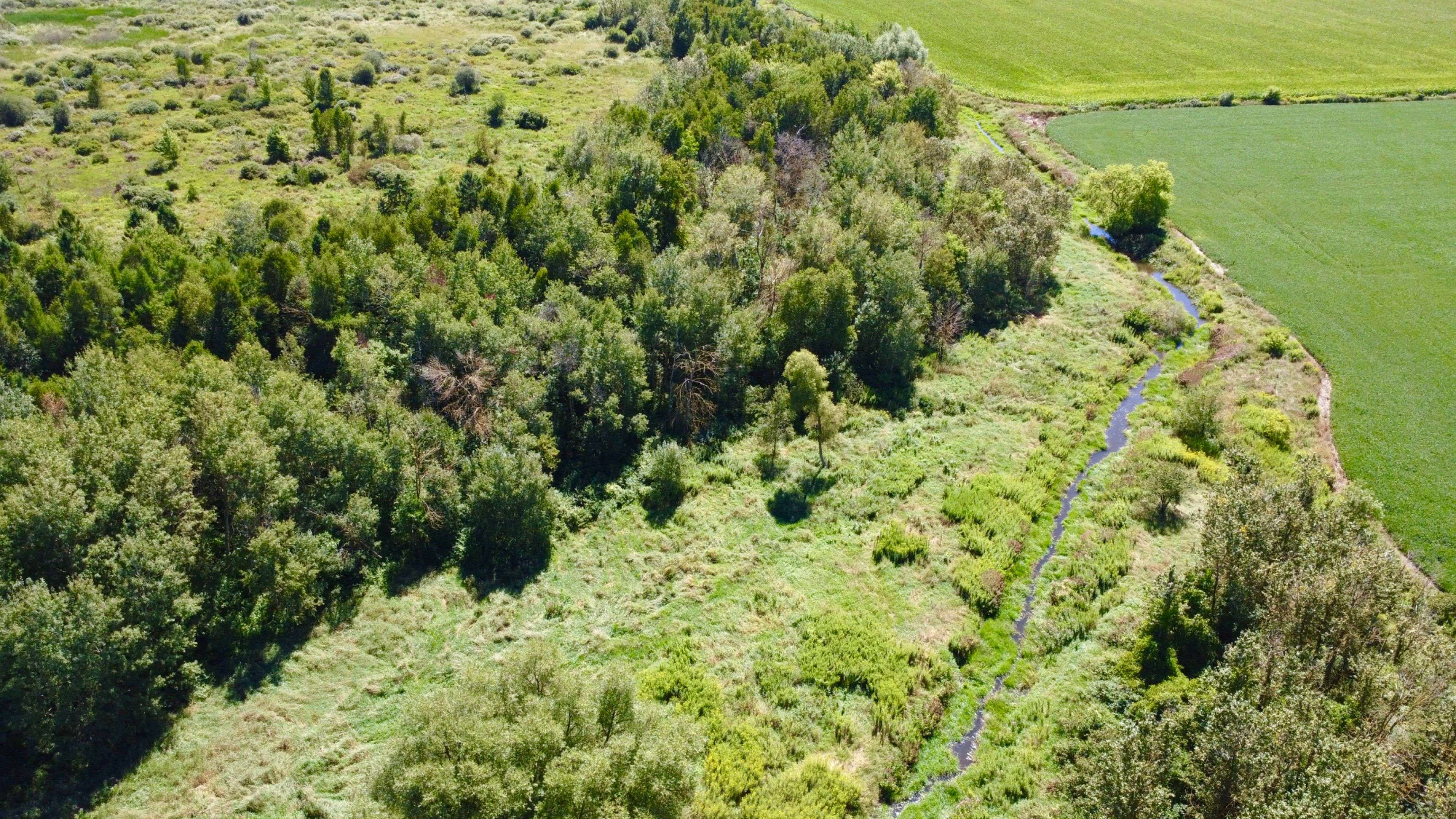 Wellington North, ON N0G 1A0,LT26&27 Wellington Rd 109 N/A N