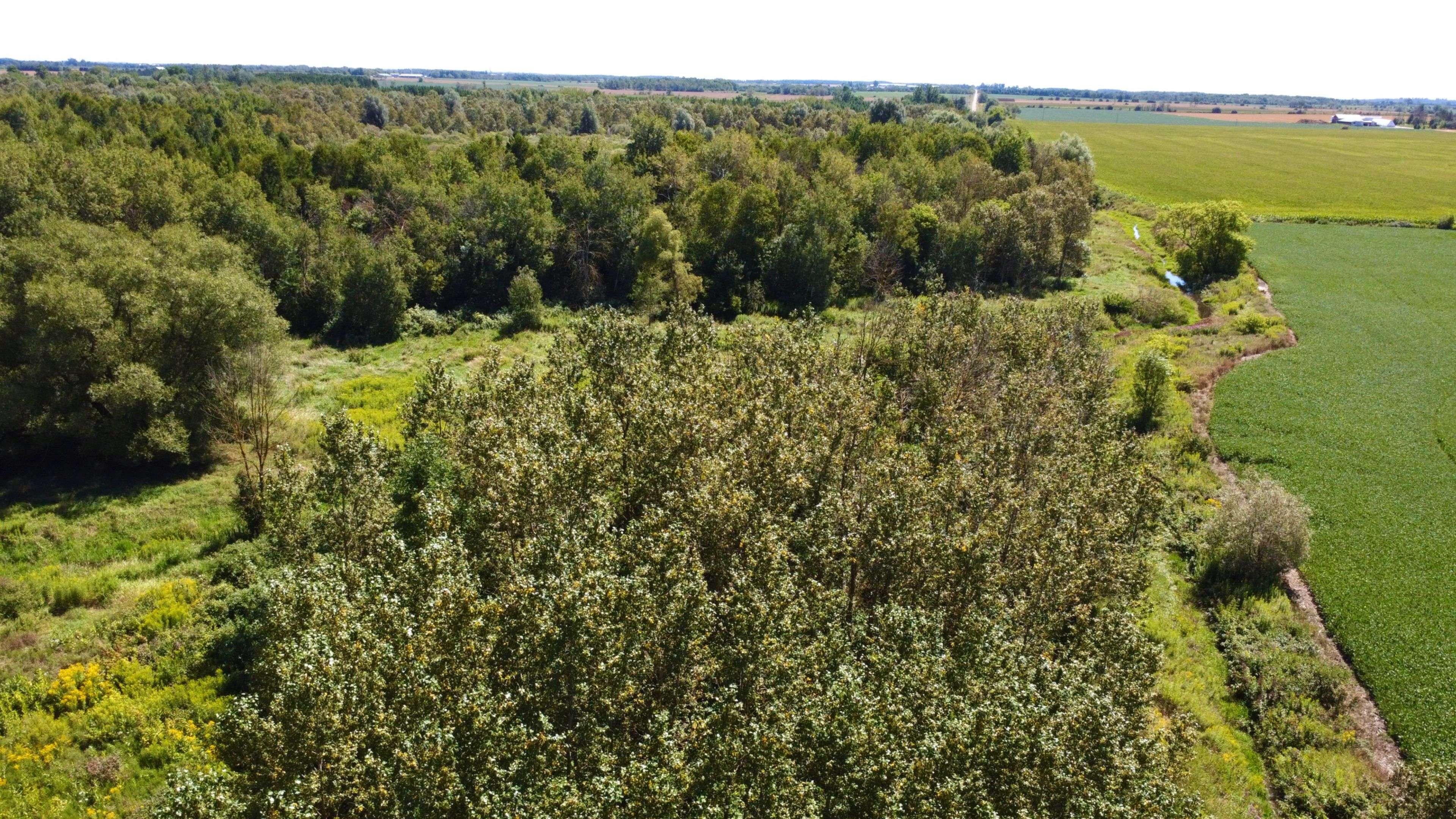 Wellington North, ON N0G 1A0,LT26&27 Wellington Rd 109 N/A N