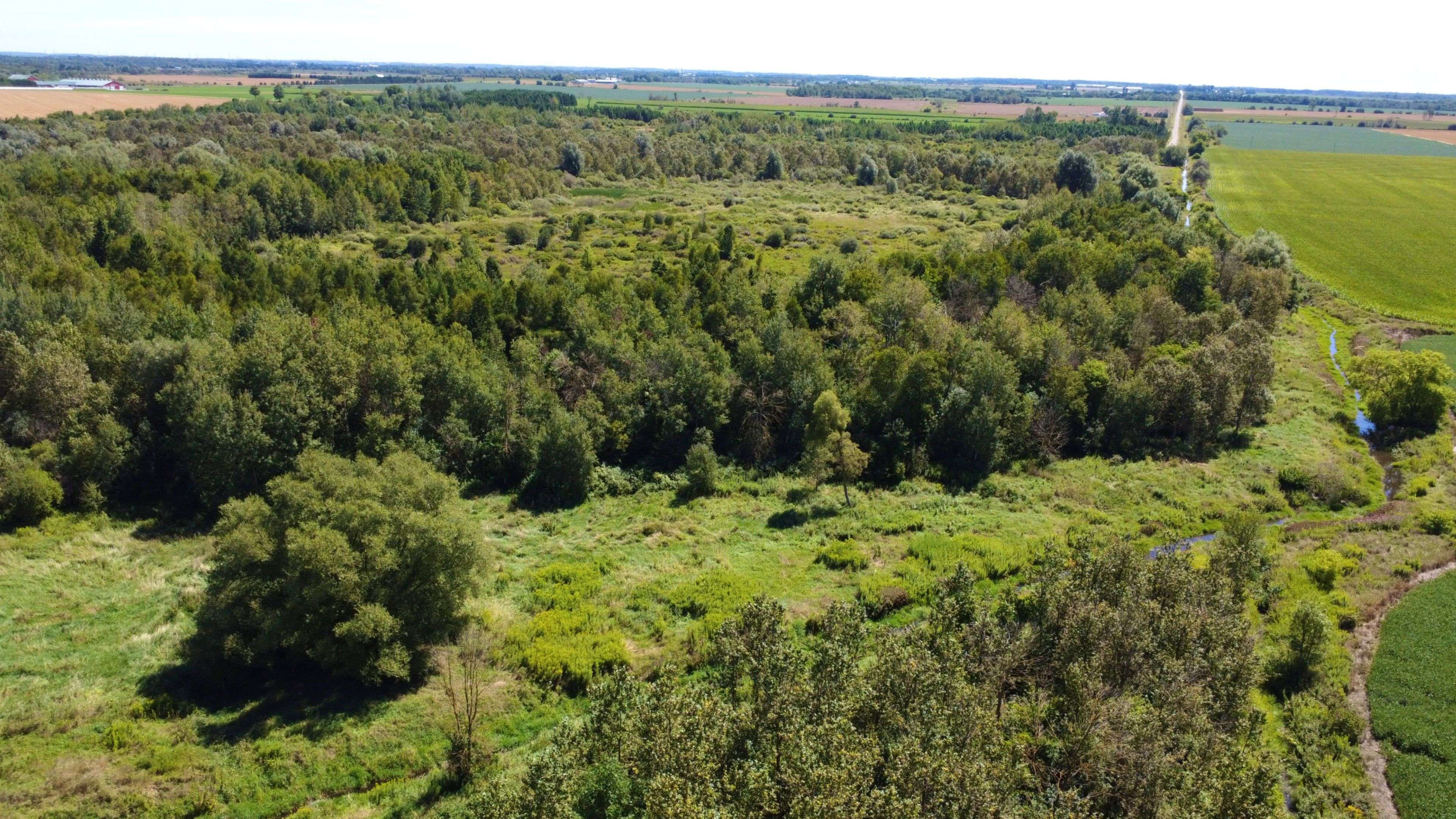 Wellington North, ON N0G 1A0,LT26&27 Wellington Rd 109 N/A N