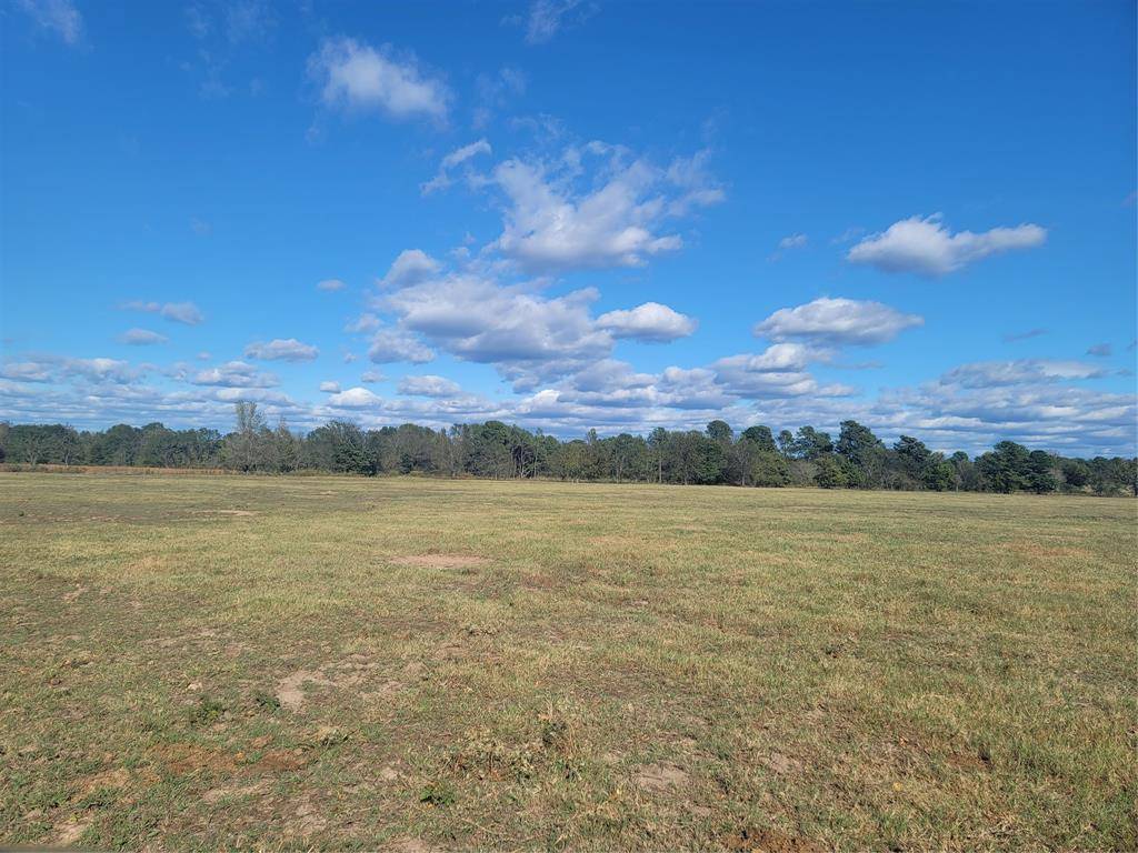 Gilmer, TX 75644,12403 FM 1975 #Parcel C