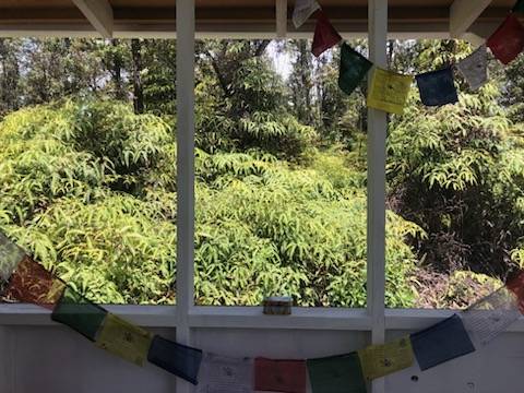 Pahoa, HI 96778,1234 PIKAKE RD