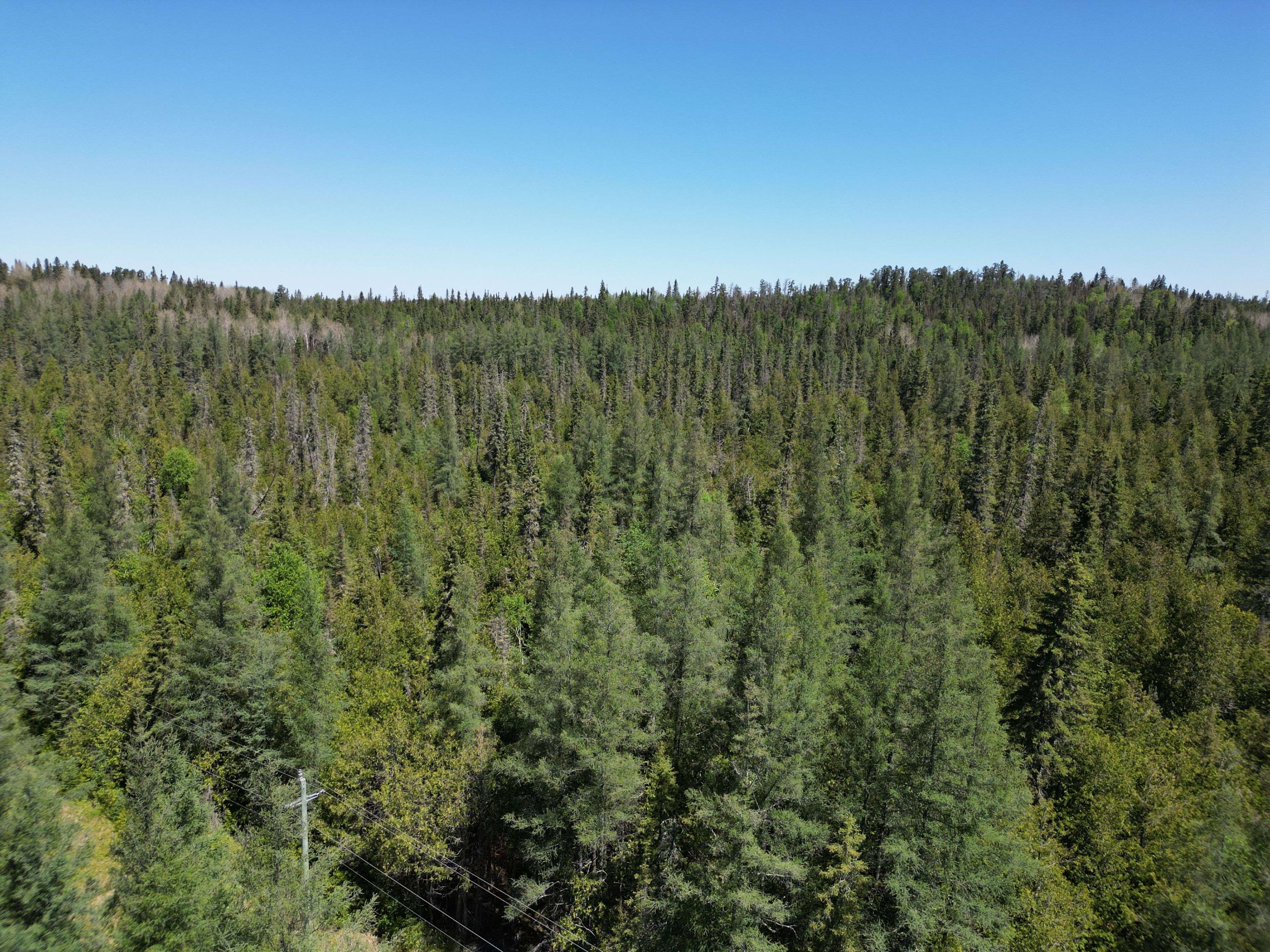 Kirkland Lake, ON P0L 1H0,LT4,C6 HWY 11 HWY