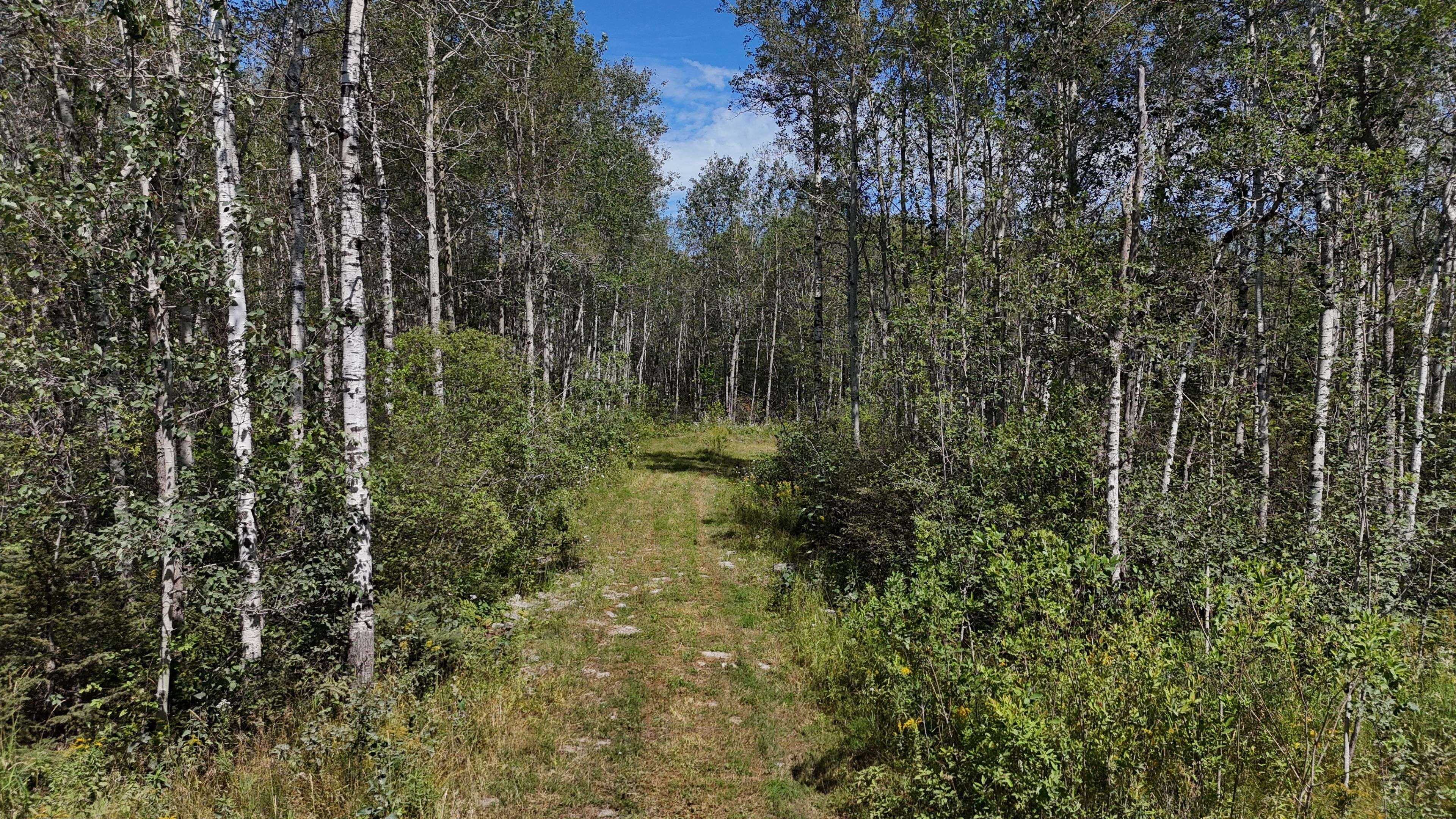 Timiskaming, ON P0J 1P0,930069 Hanbury RD W