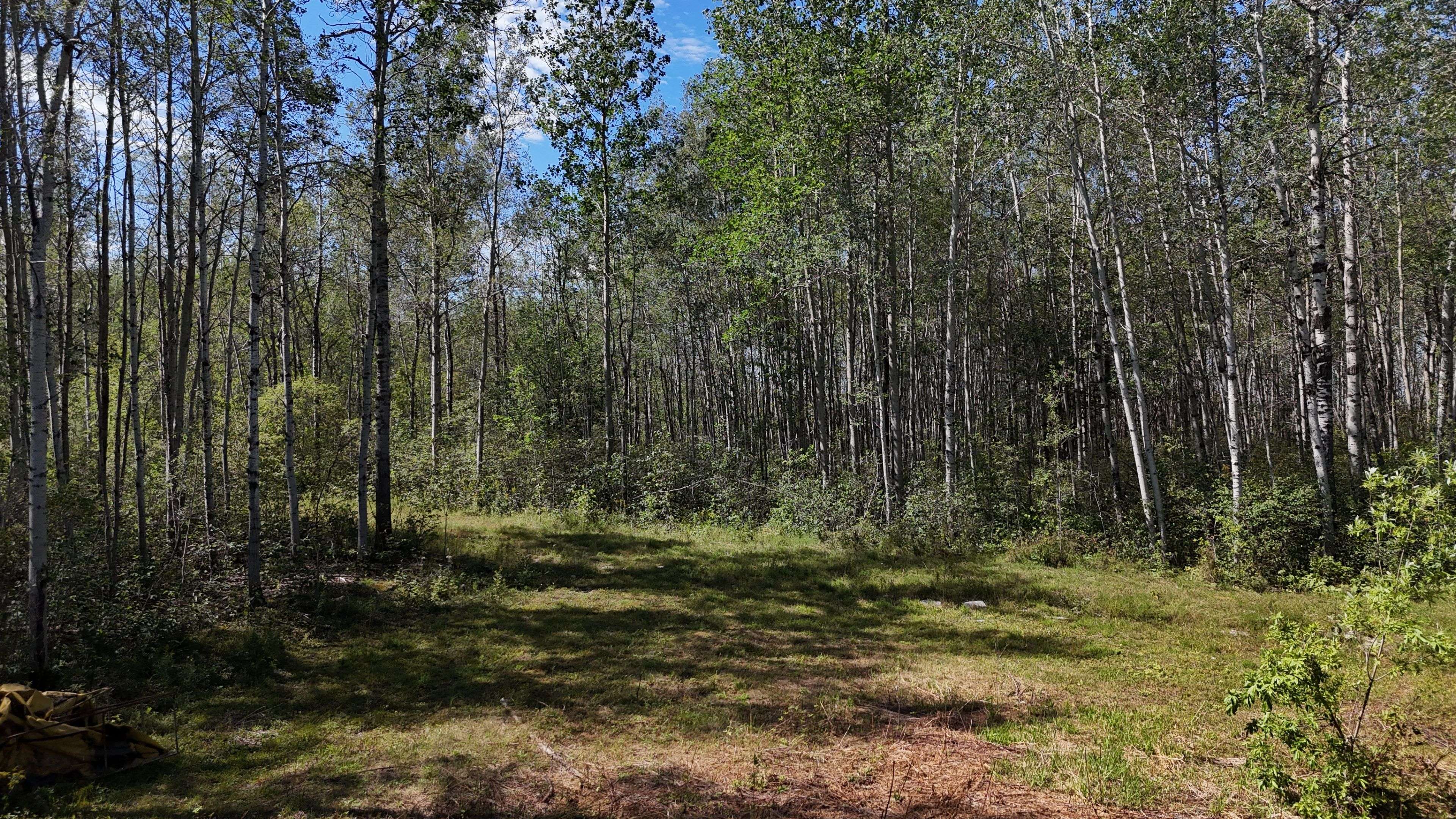 Timiskaming, ON P0J 1P0,930069 Hanbury RD W