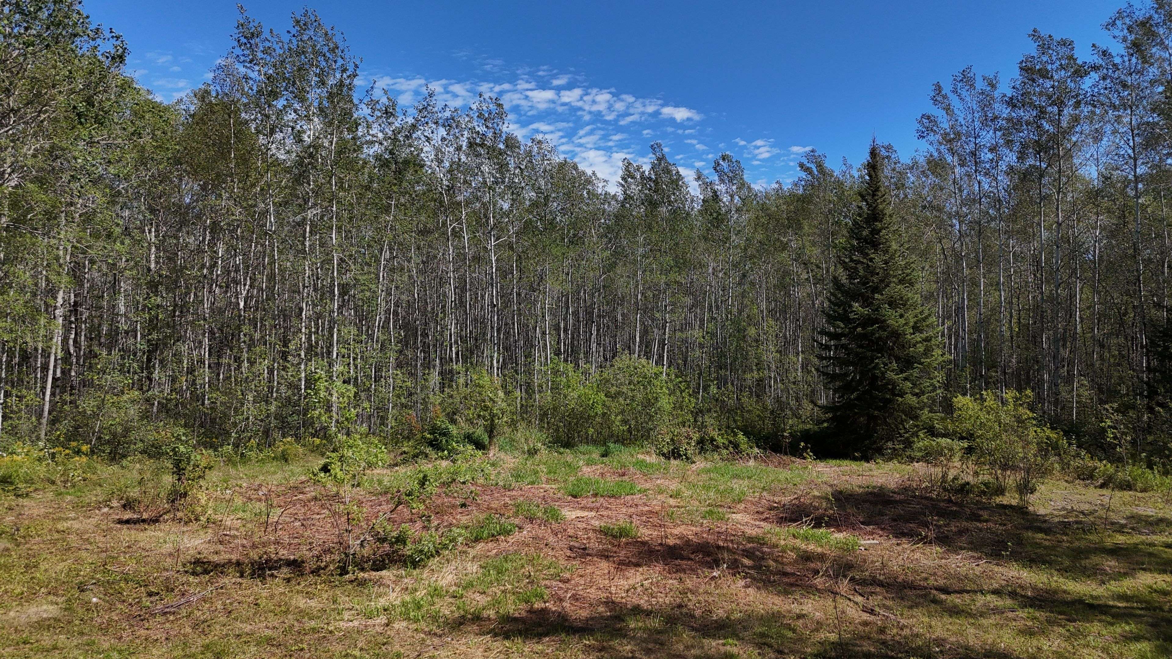 Timiskaming, ON P0J 1P0,930069 Hanbury RD W