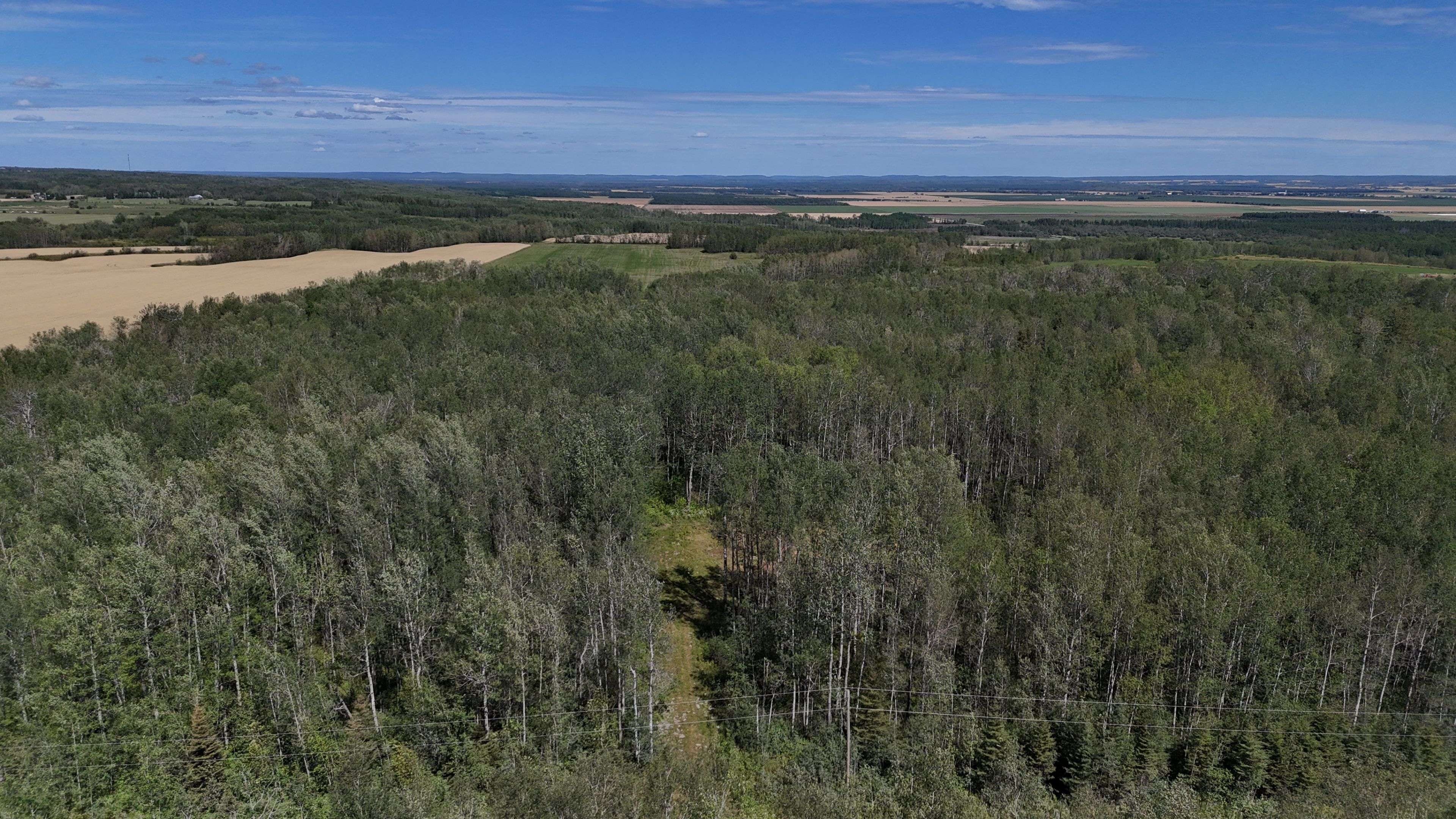 Timiskaming, ON P0J 1P0,903069 Hanbury RD W