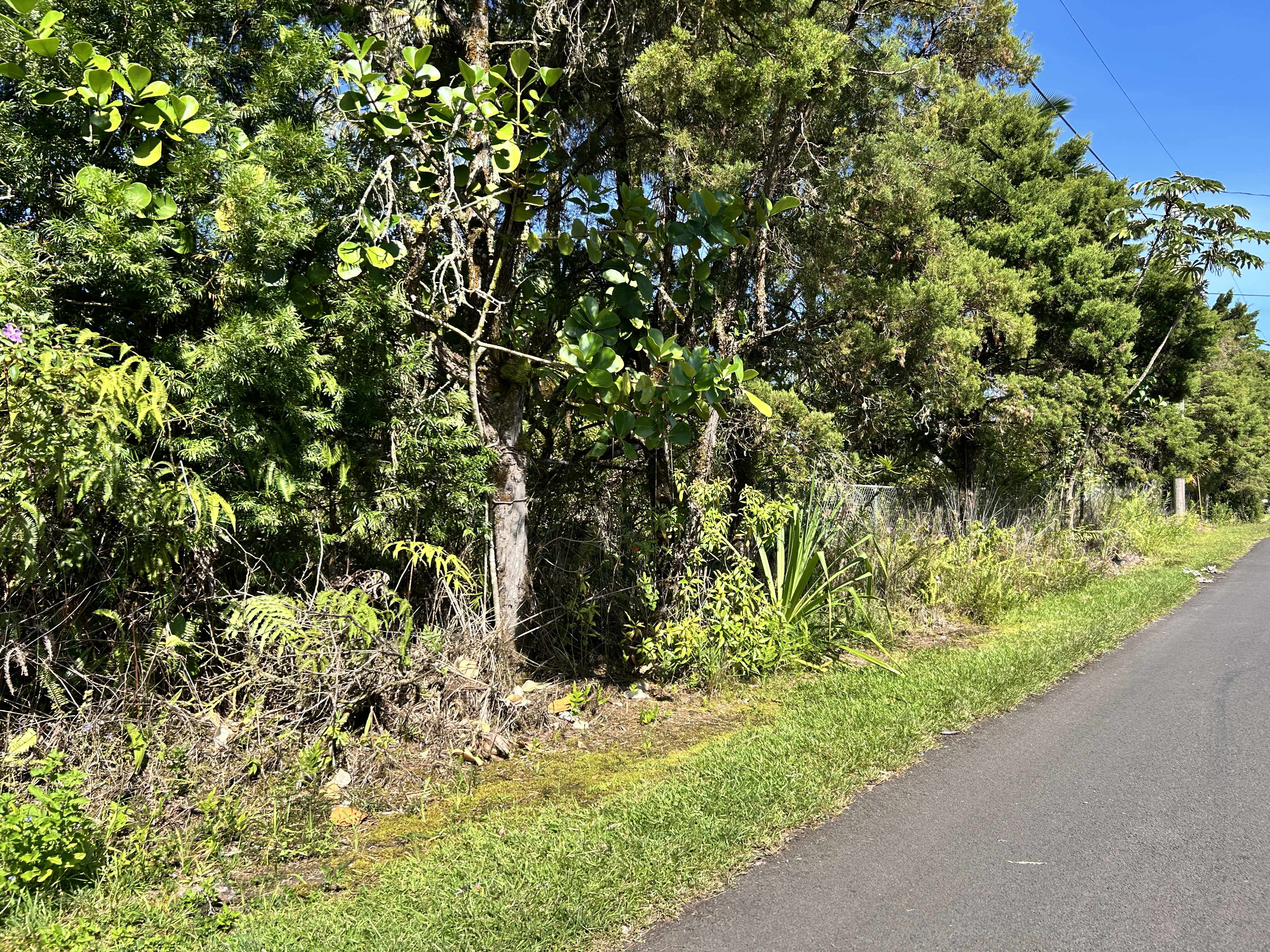 Pahoa, HI 96778,ALOHA DR