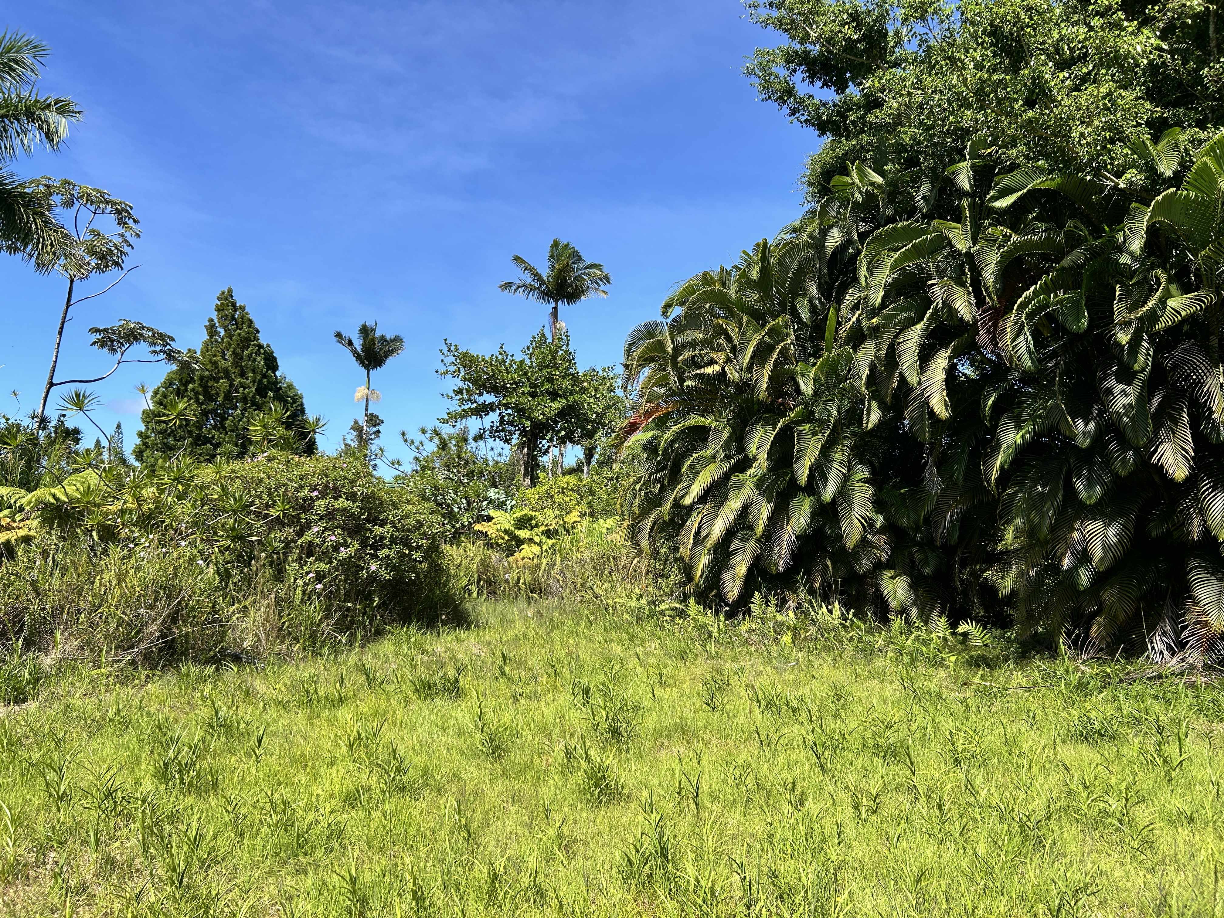 Pahoa, HI 96778,ALOHA DR