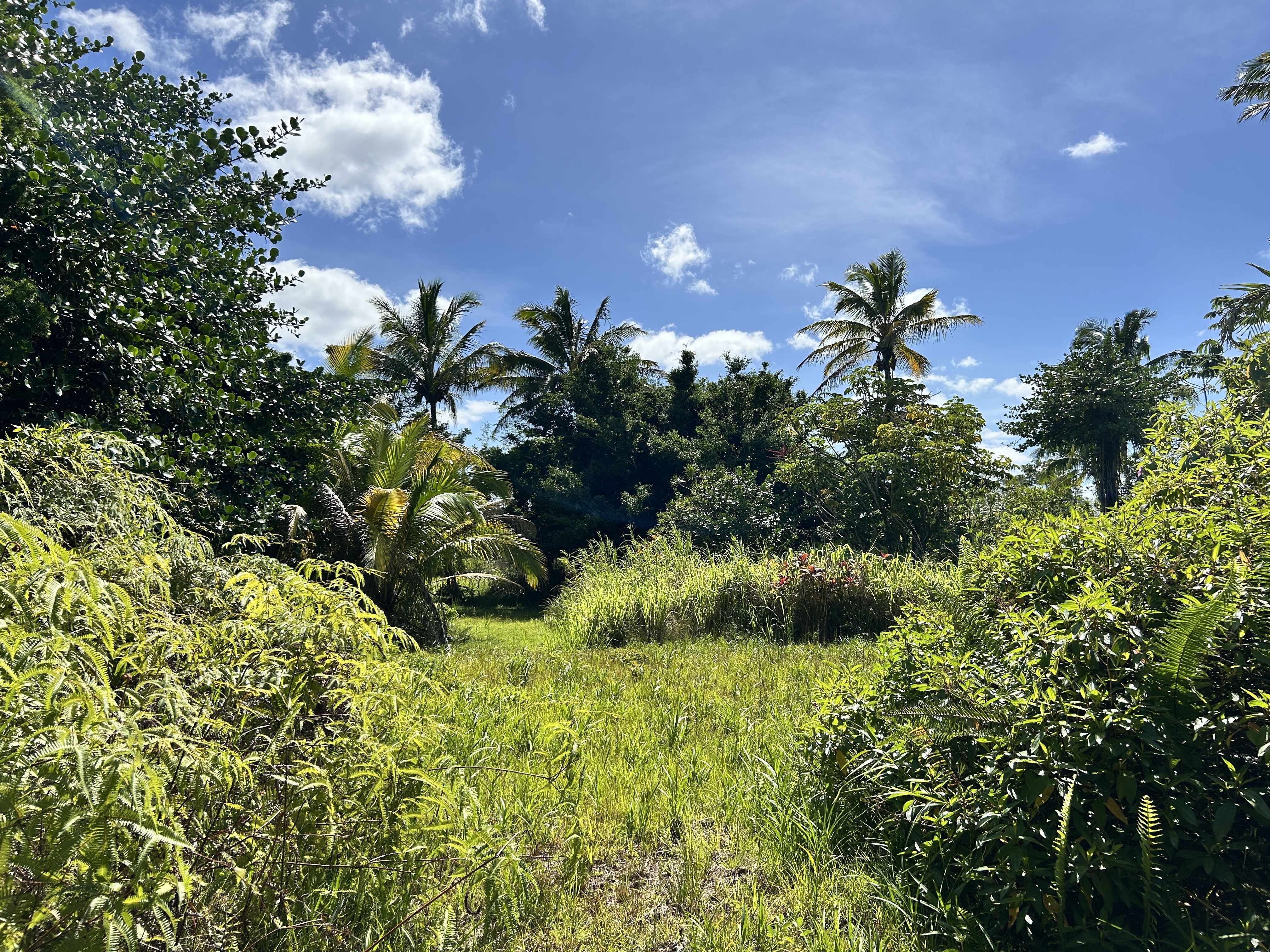 Pahoa, HI 96778,ALOHA DR