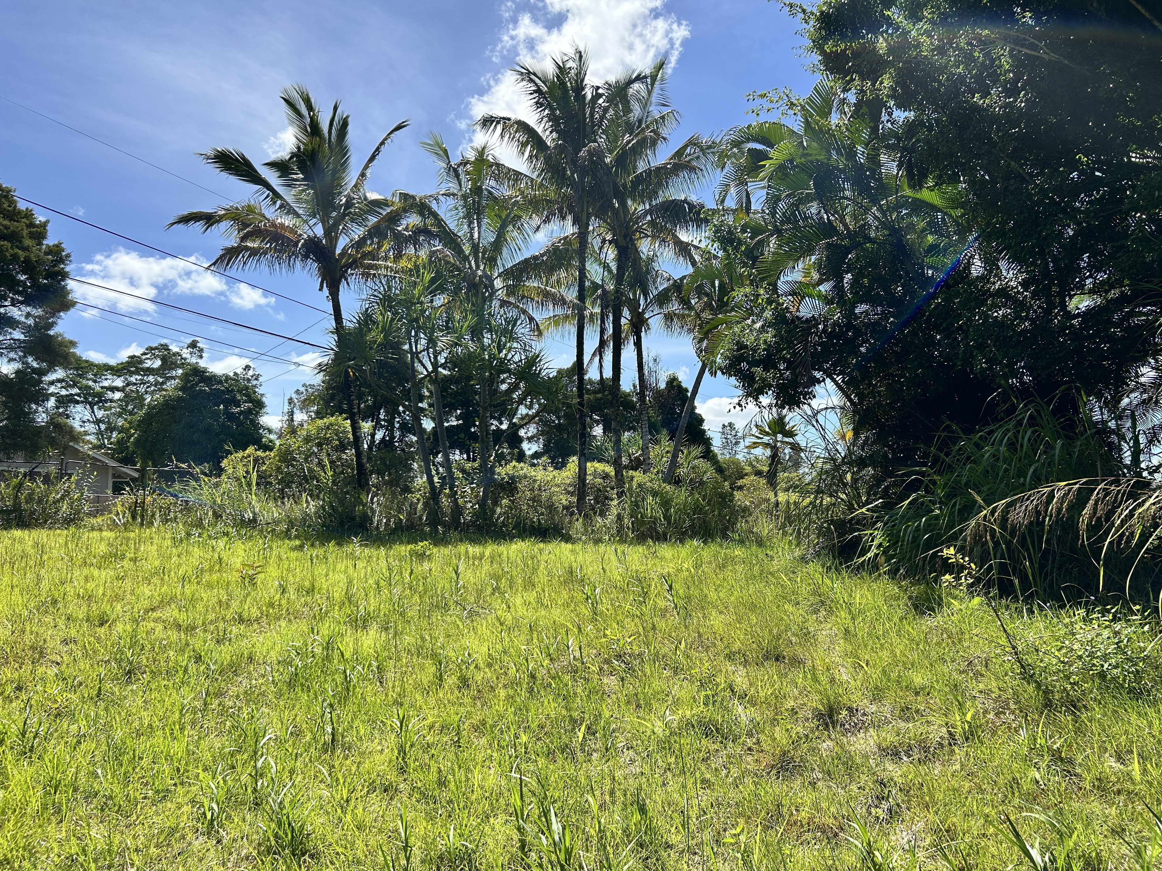 Pahoa, HI 96778,ALOHA DR
