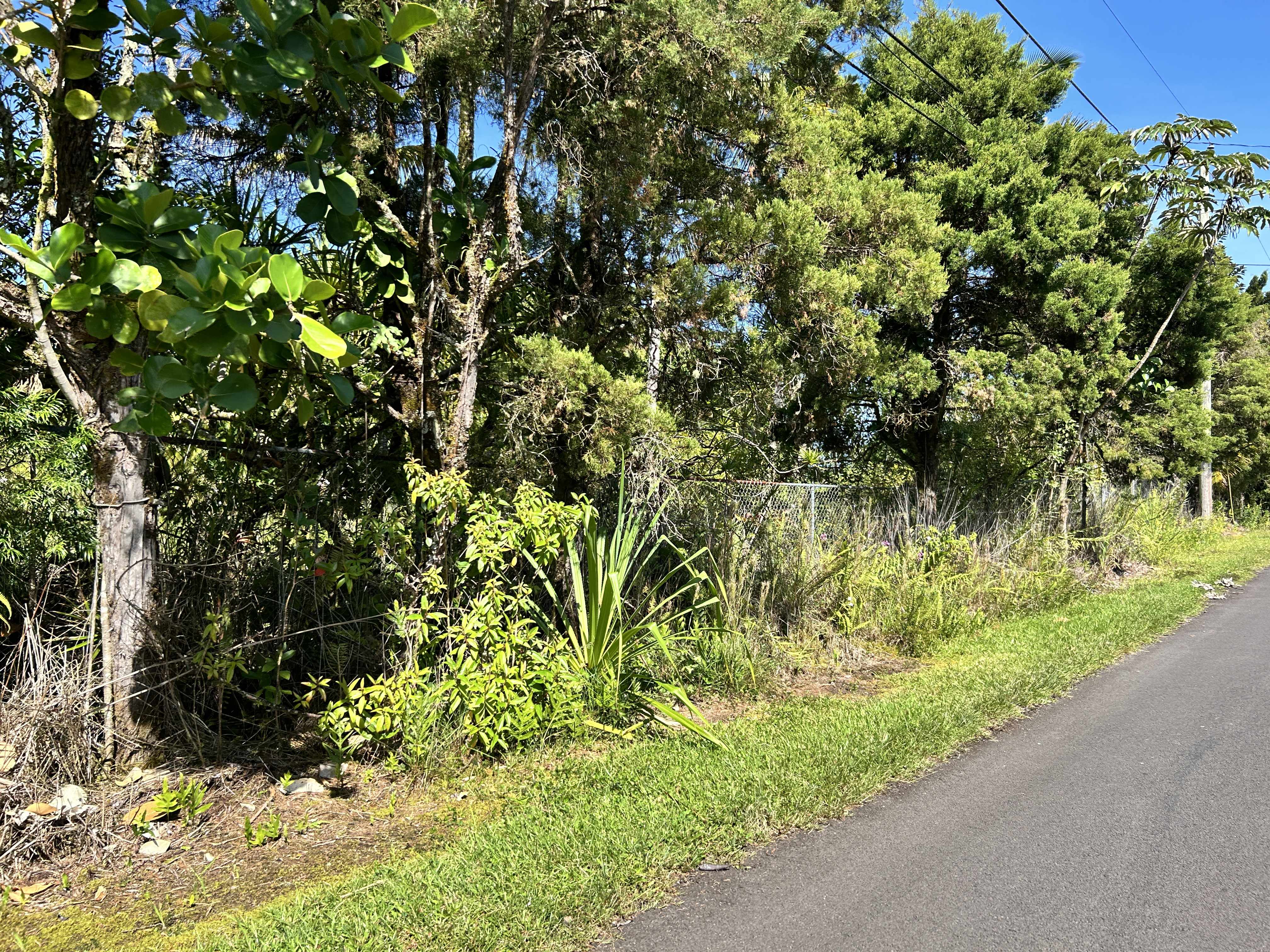 Pahoa, HI 96778,ALOHA DR