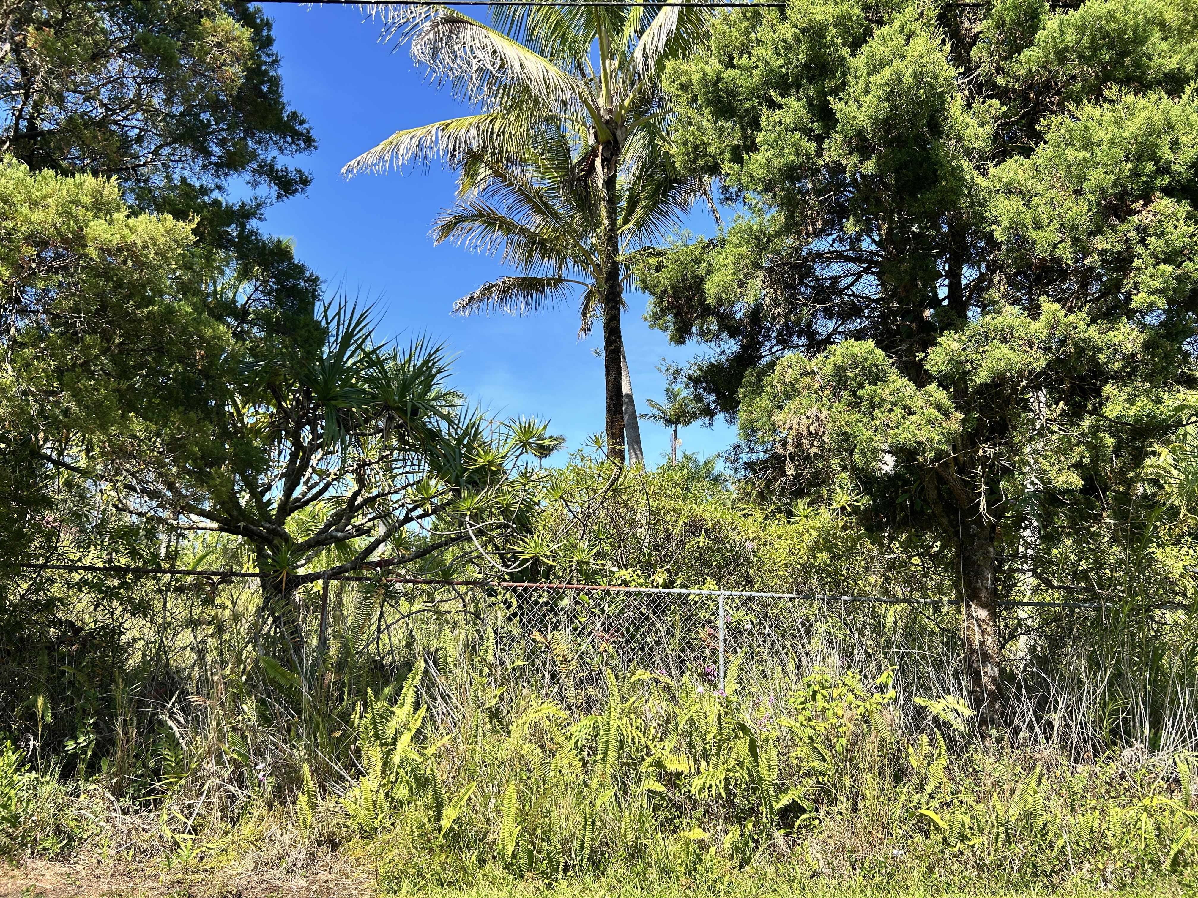 Pahoa, HI 96778,ALOHA DR