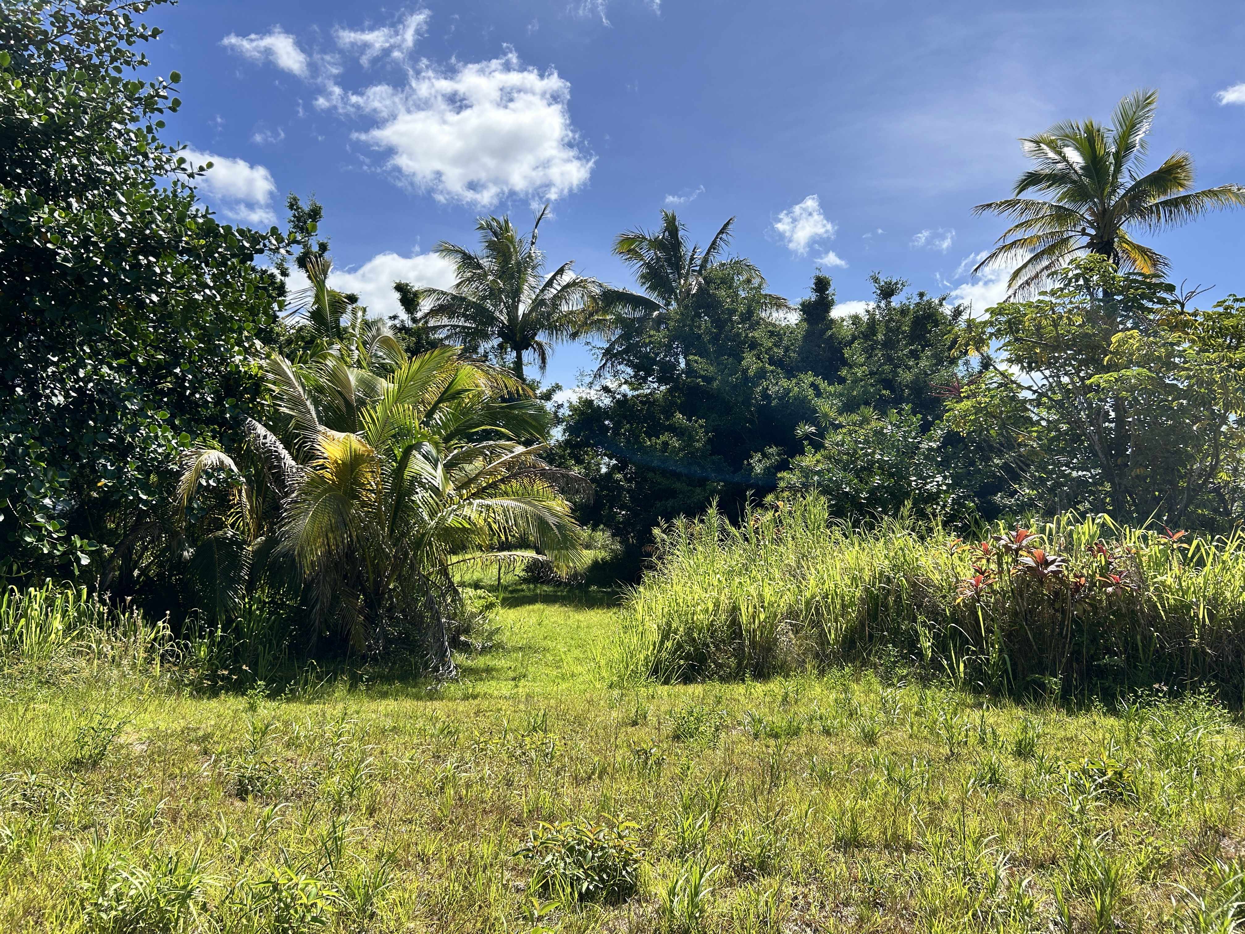 Pahoa, HI 96778,ALOHA DR