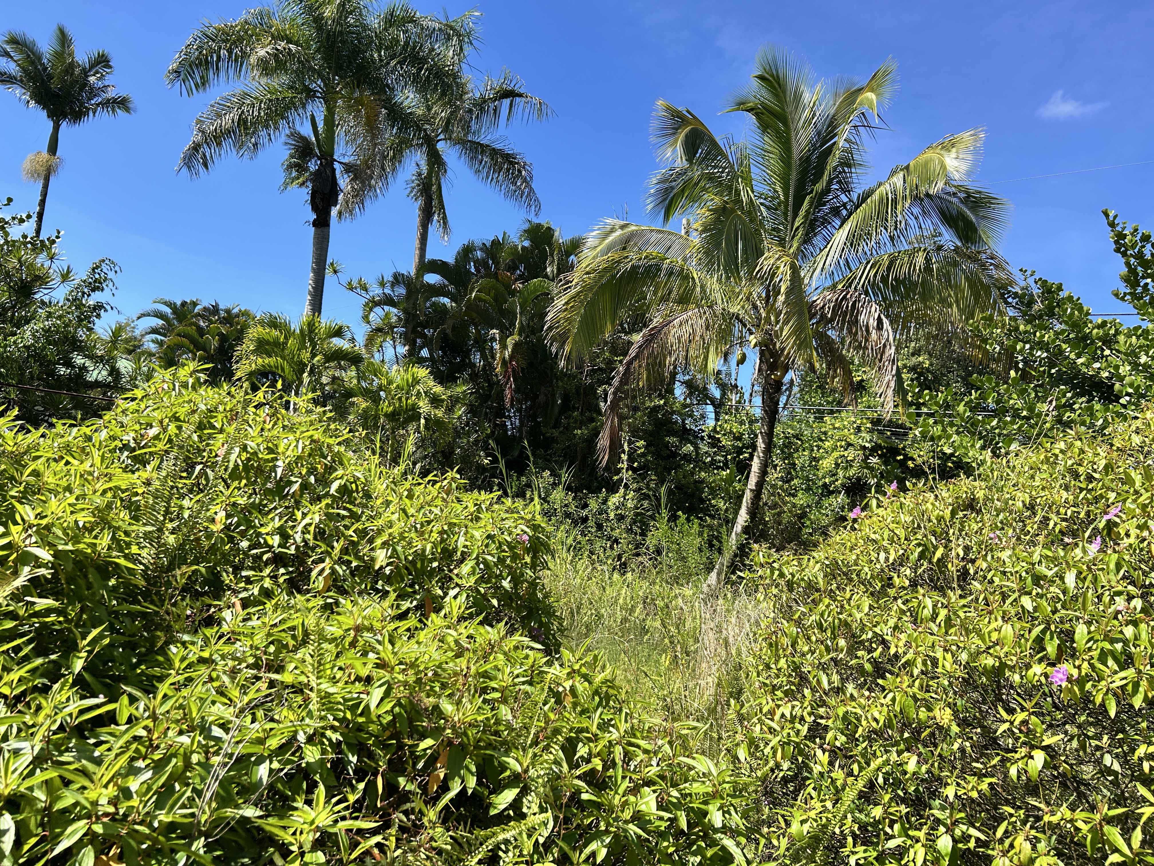 Pahoa, HI 96778,UILANI DR