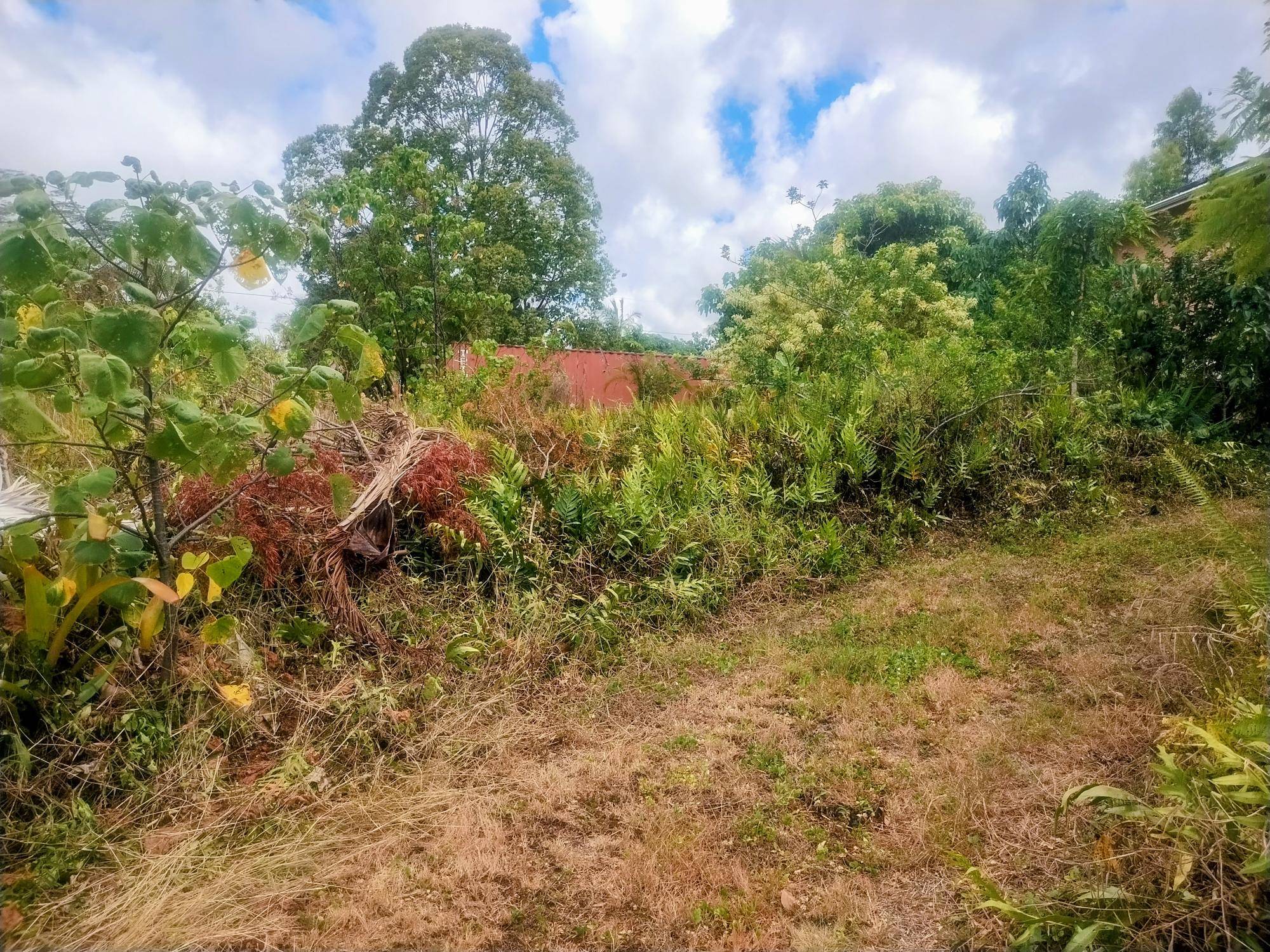 Pahoa, HI 96778,KAIWA ST