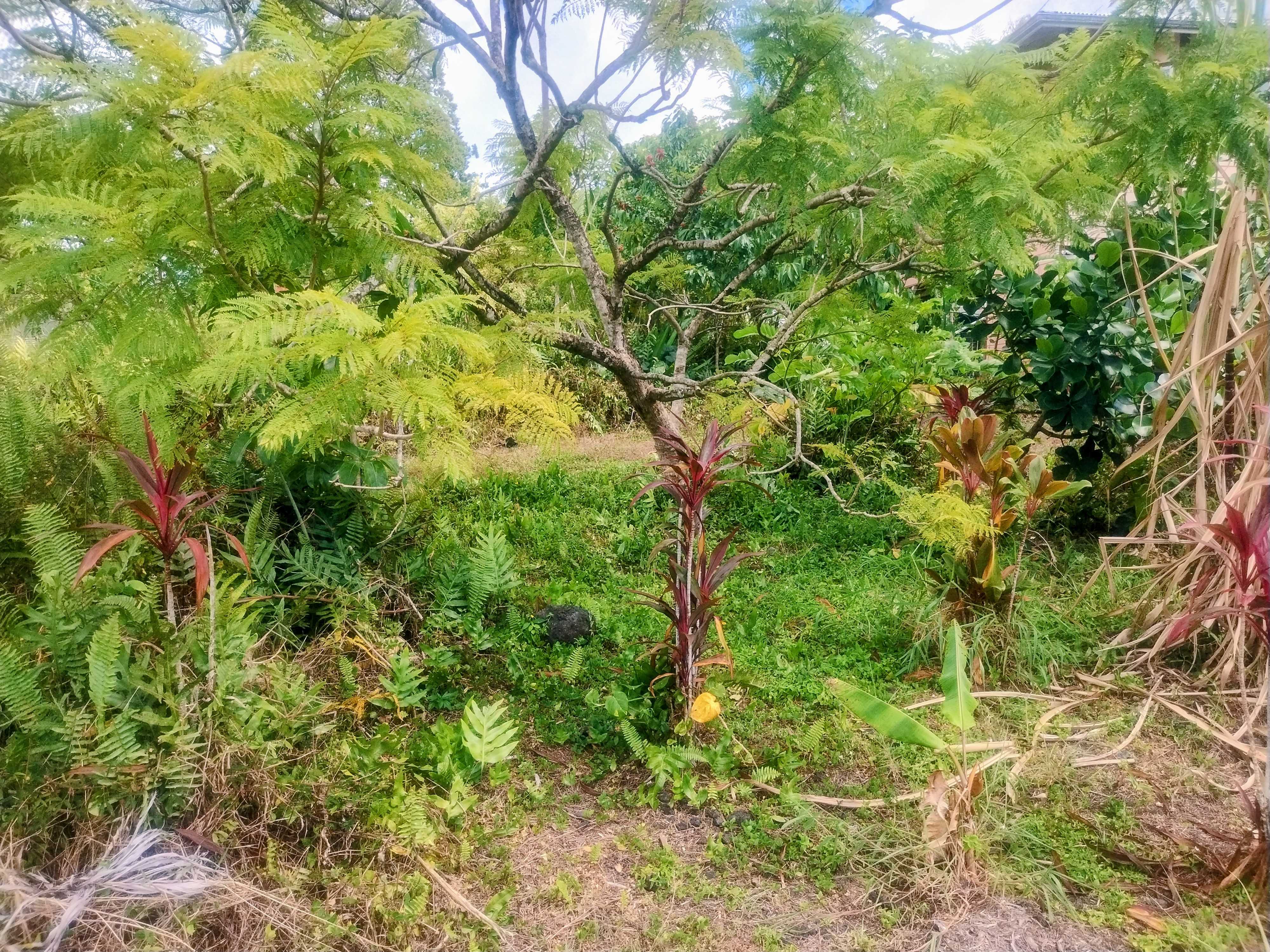 Pahoa, HI 96778,KAIWA ST