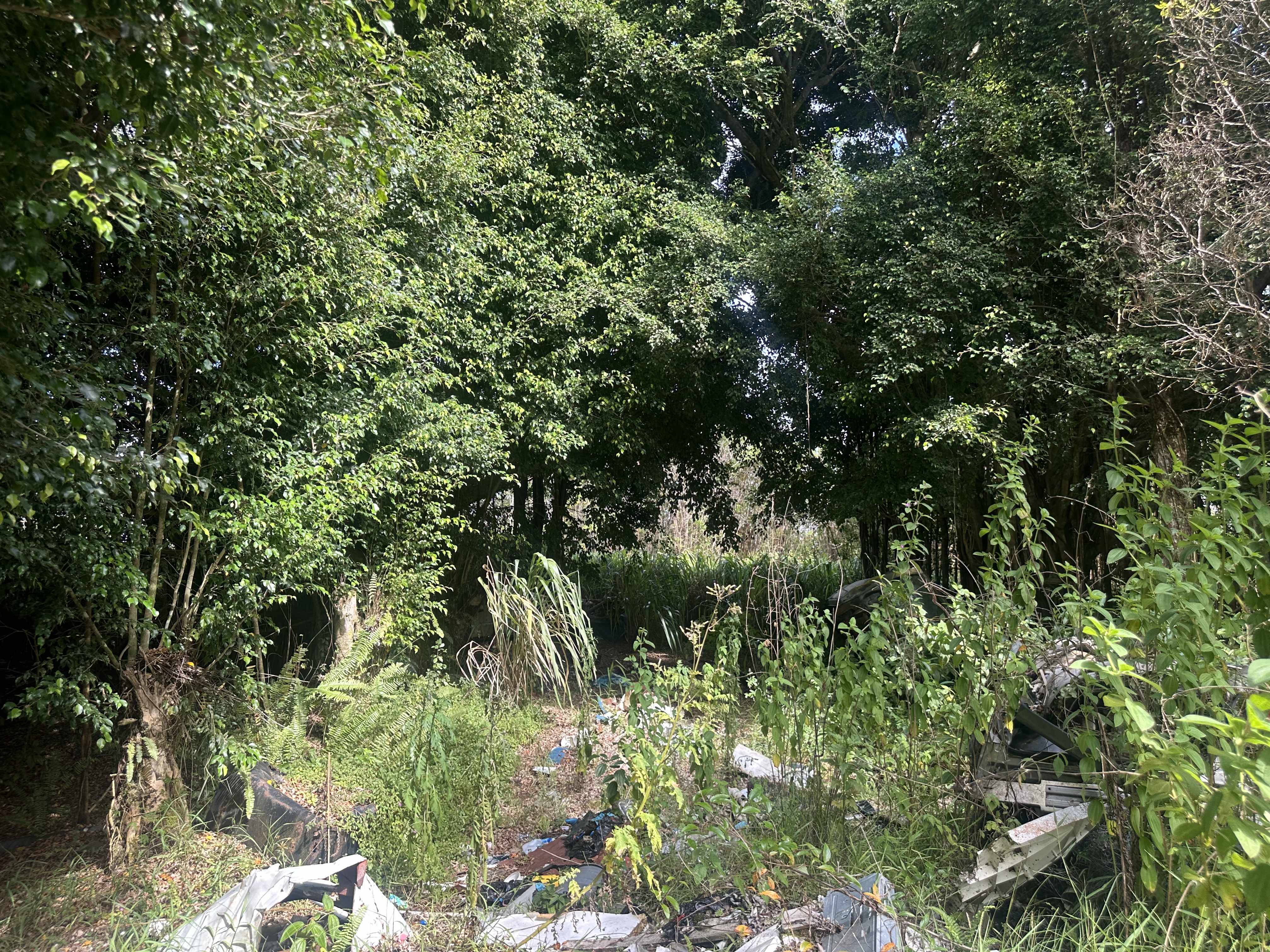 Mountain View, HI 96771,16-909 KEA RD