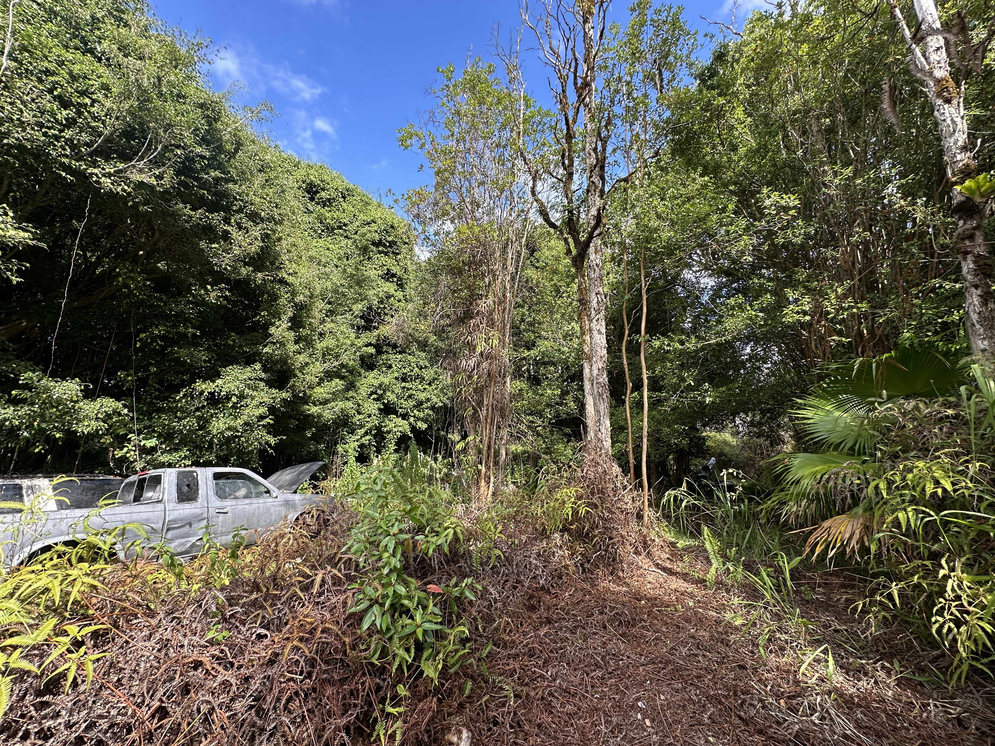 Mountain View, HI 96771,16-909 KEA RD