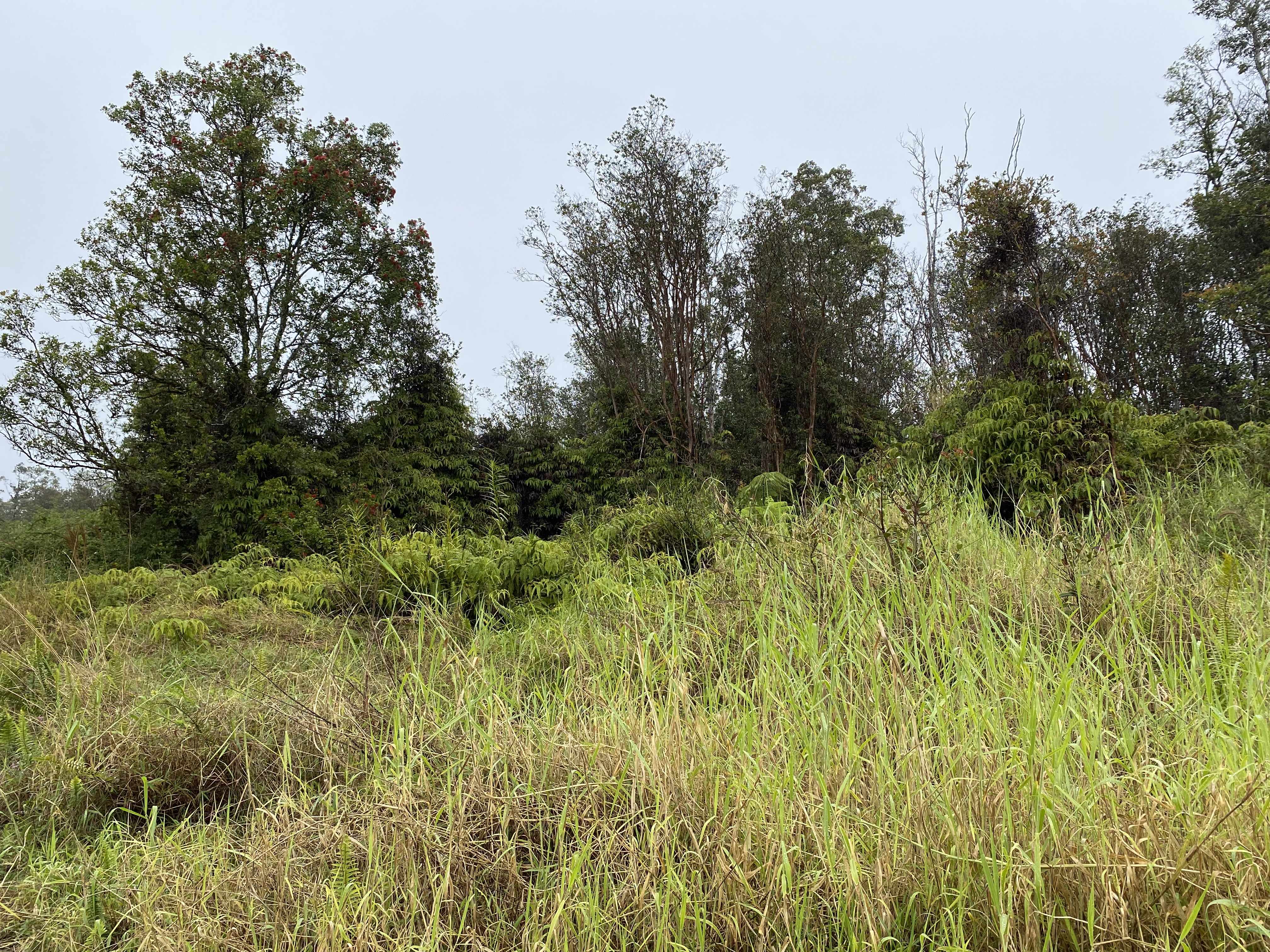 Volcano, HI 96785,HINUHINU ST