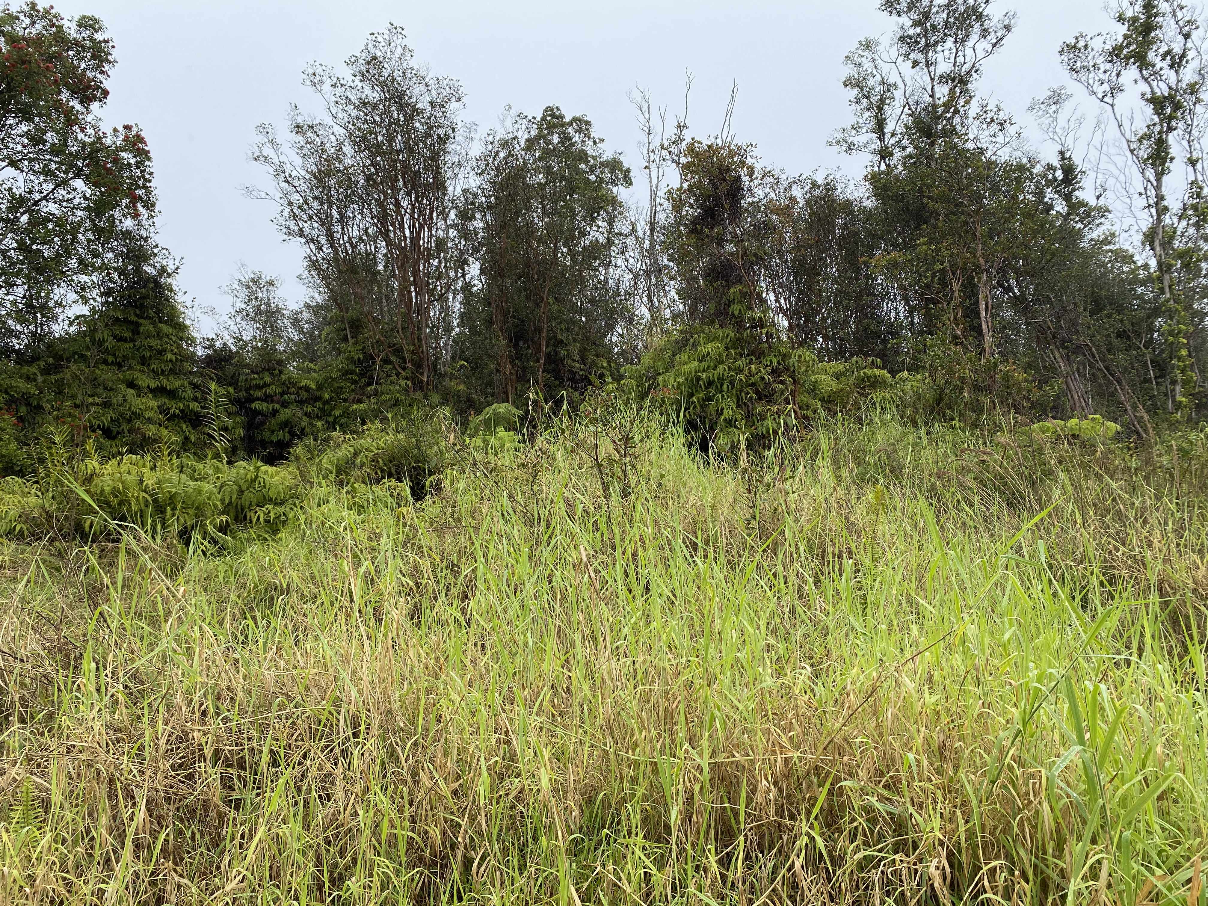 Volcano, HI 96785,HINUHINU ST