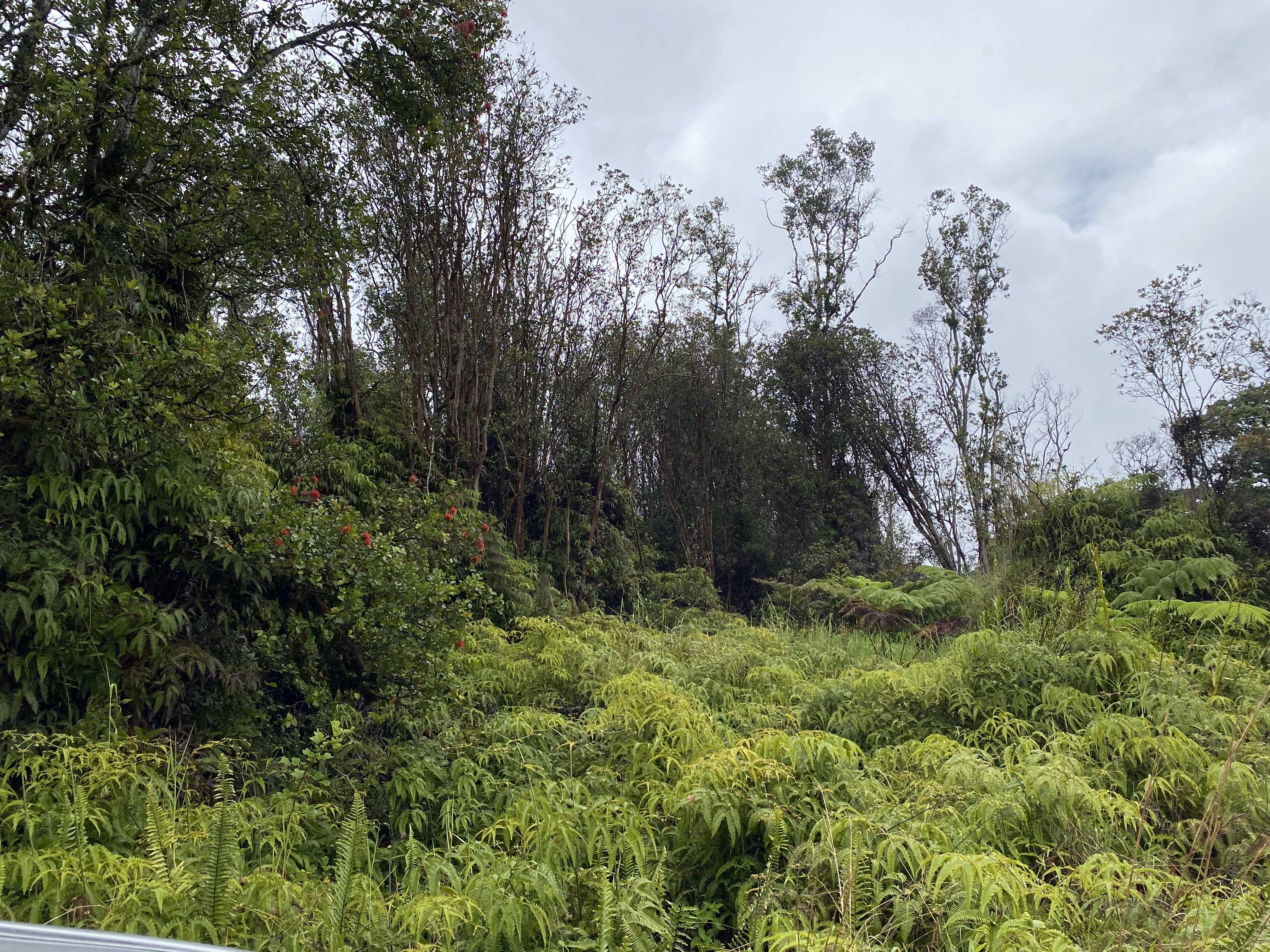 Volcano, HI 96785,HINUHINU ST