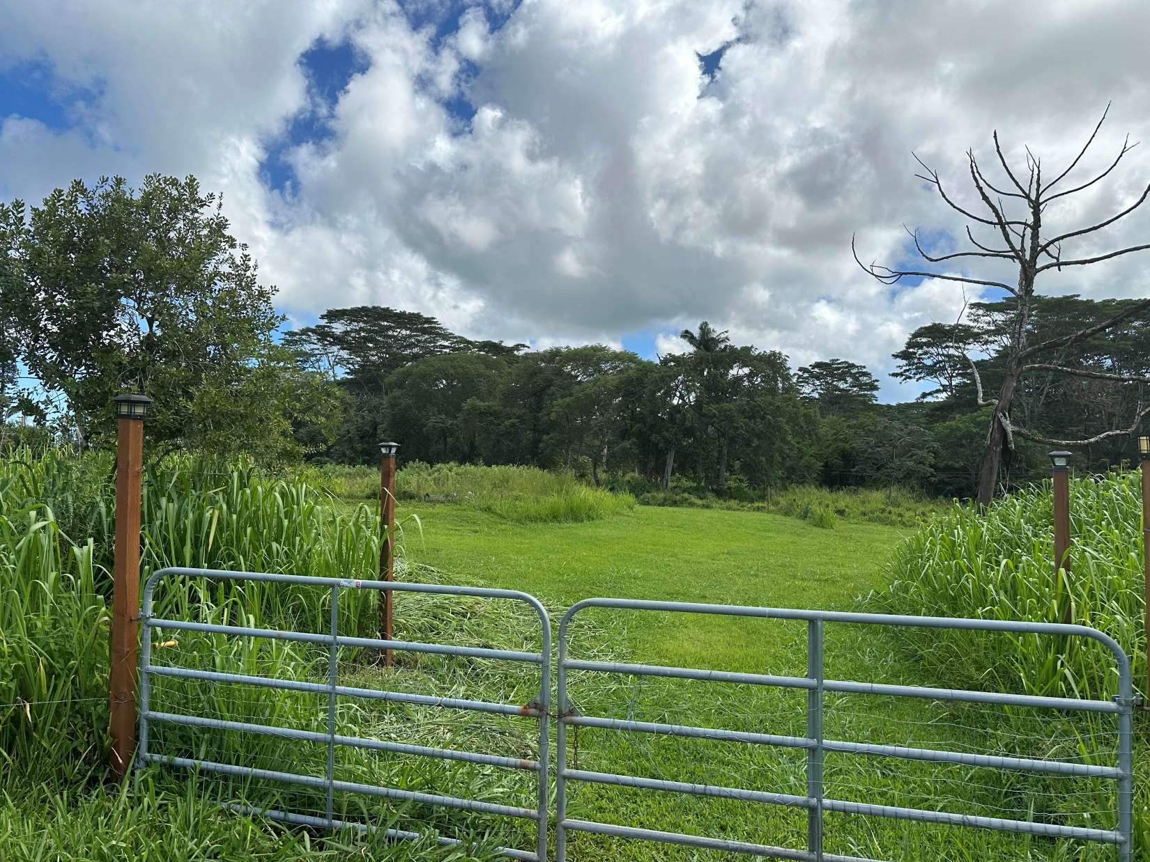 Kurtistown, HI 96760,17-4224 KUAAINA RD