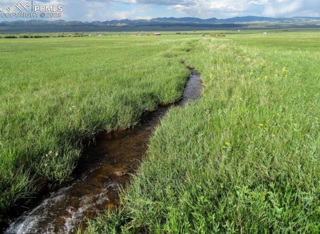 Westcliffe, CO 81252,County Road 119