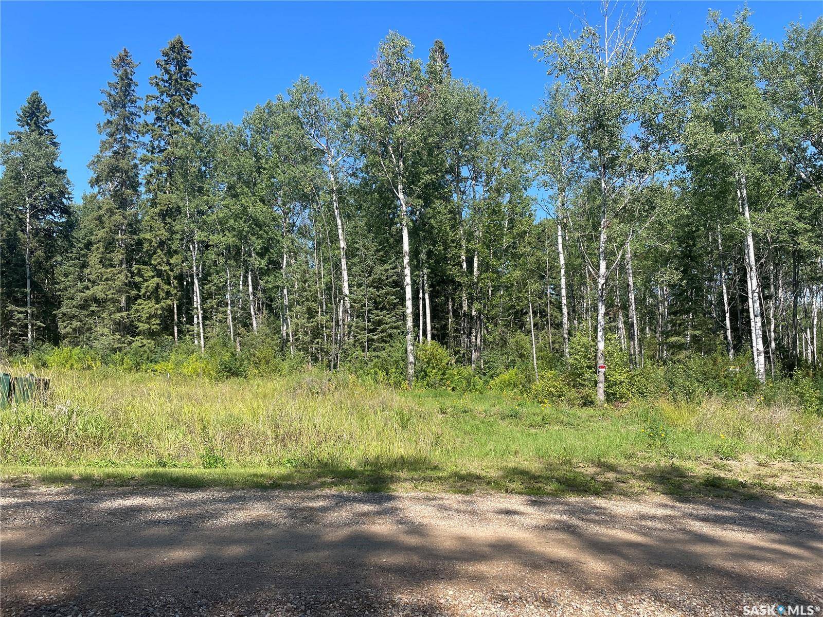 Big River Rm No. 555, SK S0J 0E0,2 Phillips CRESCENT