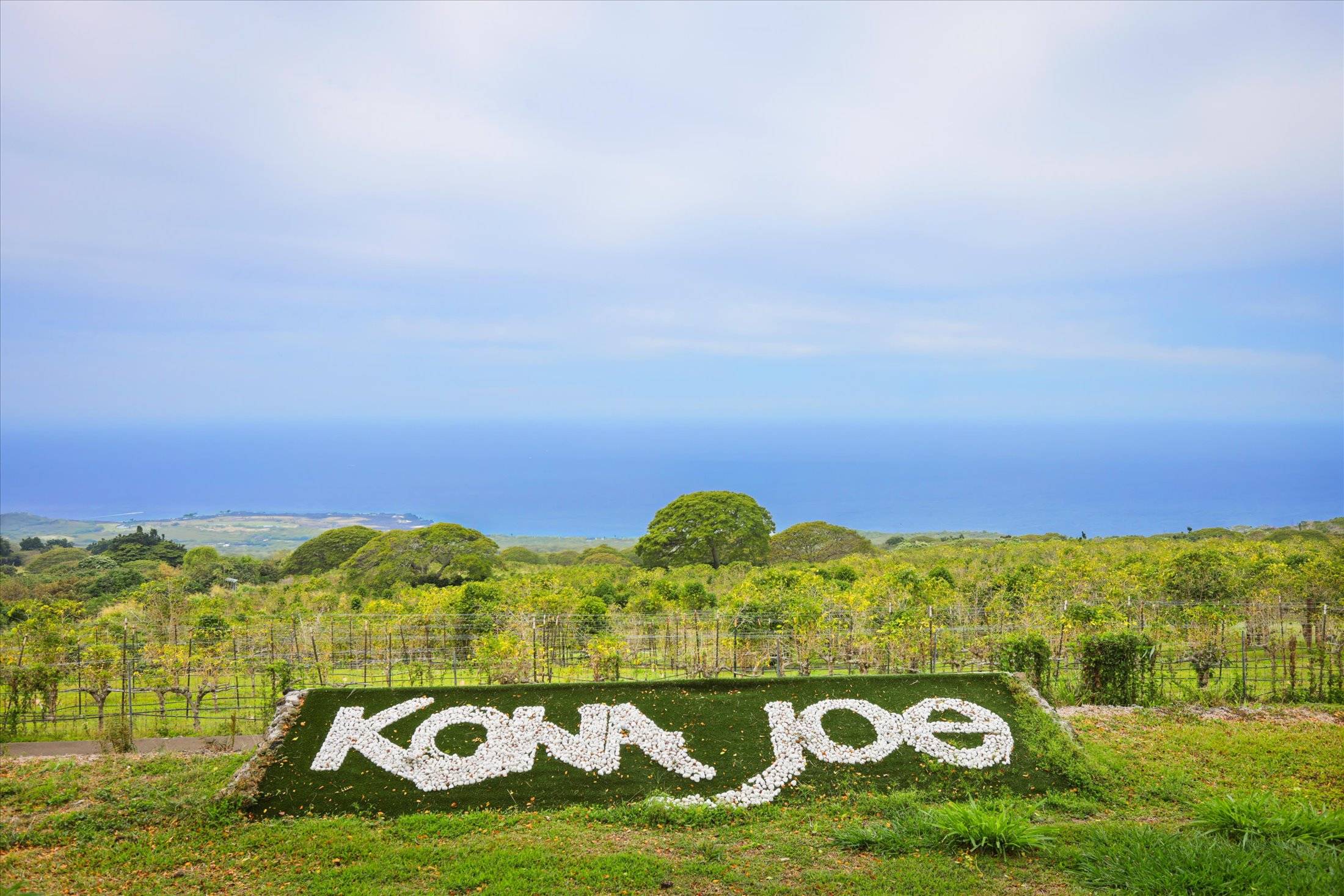 79-7346 HAWAII BELT RD, Kealakekua, HI 96750