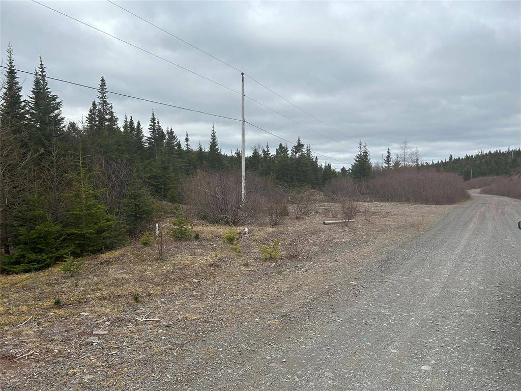 Burgoynes Cove, NL A0C 1G0,Lot # 03 Quarry Road