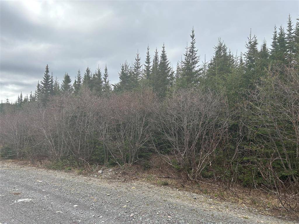 Burgoynes Cove, NL A0C 1G0,Lot # 03 Quarry Road
