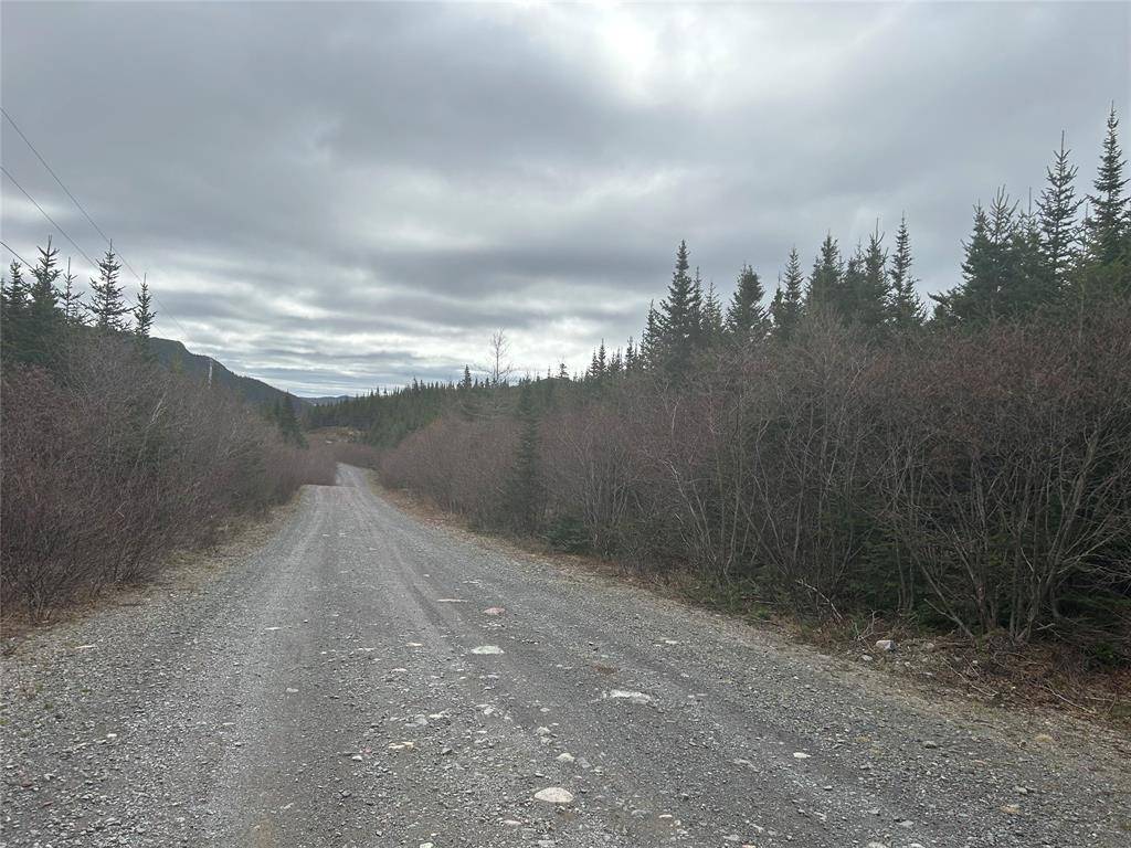 Burgoynes Cove, NL A0C 1G0,Lot # 03 Quarry Road