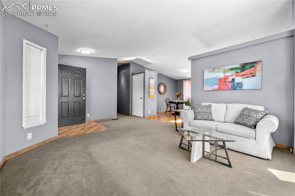 Buena Vista, CO 81211,539 Arizona ST