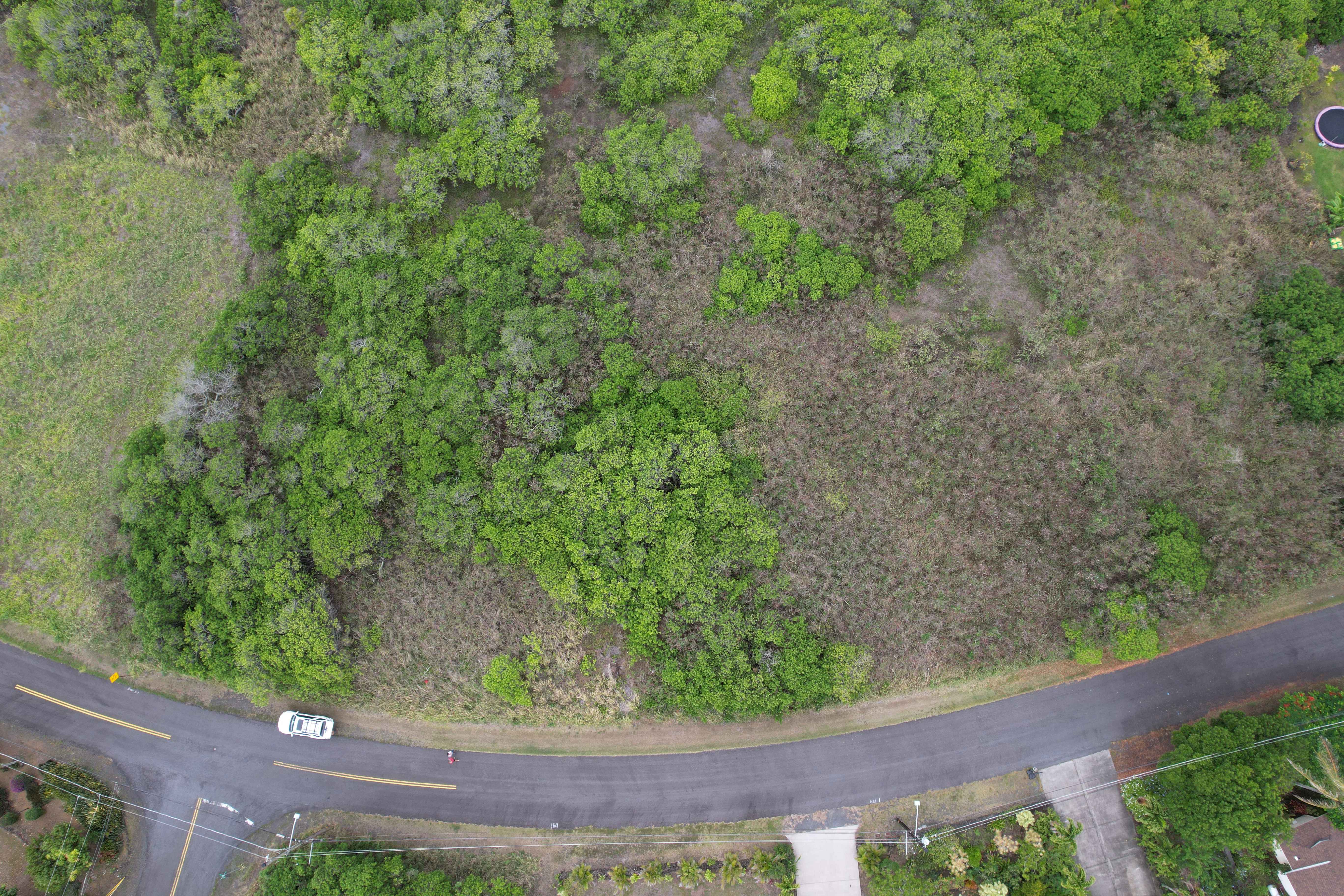 Naalehu, HI 96772,HEKAU ST