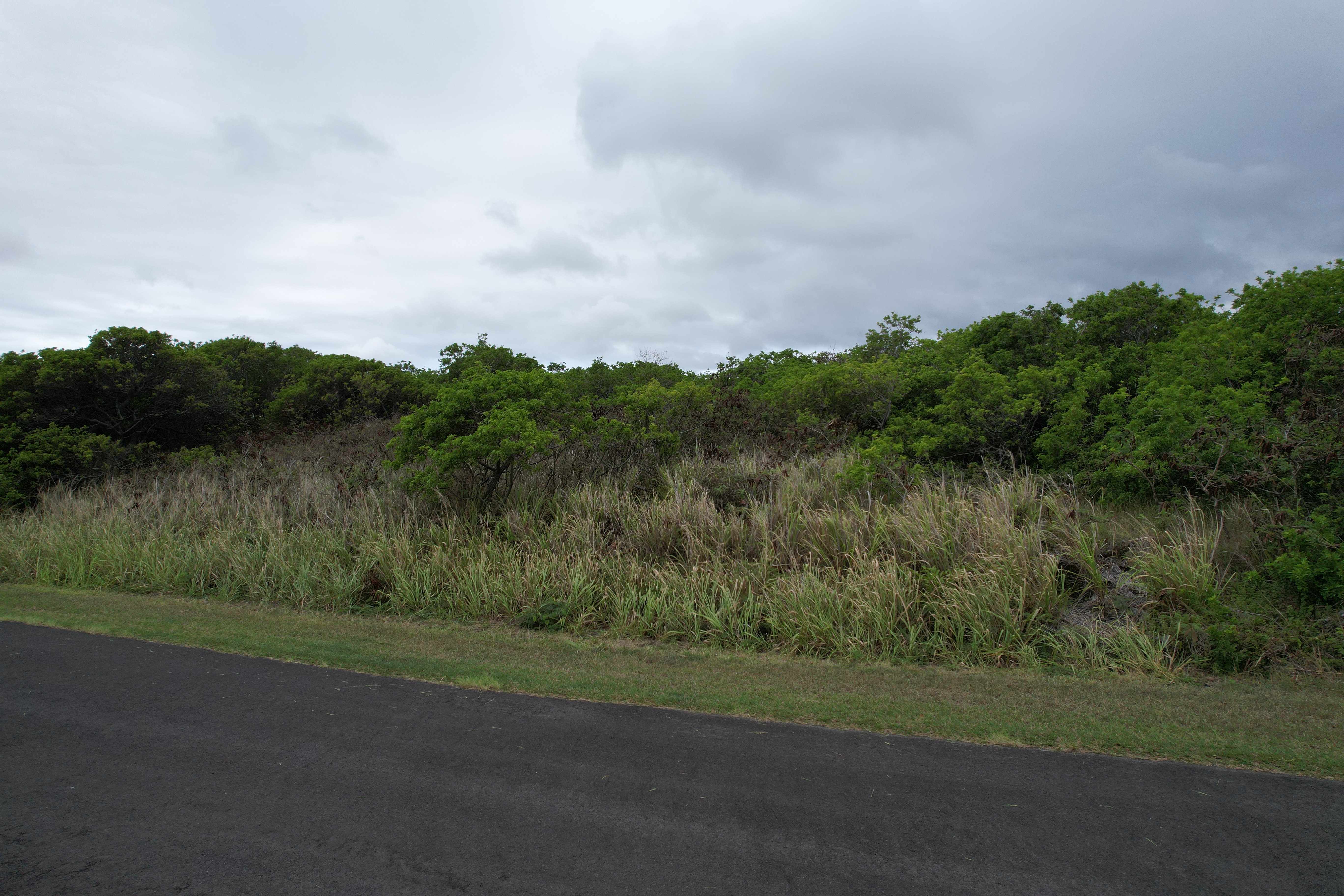 Naalehu, HI 96772,HEKAU ST