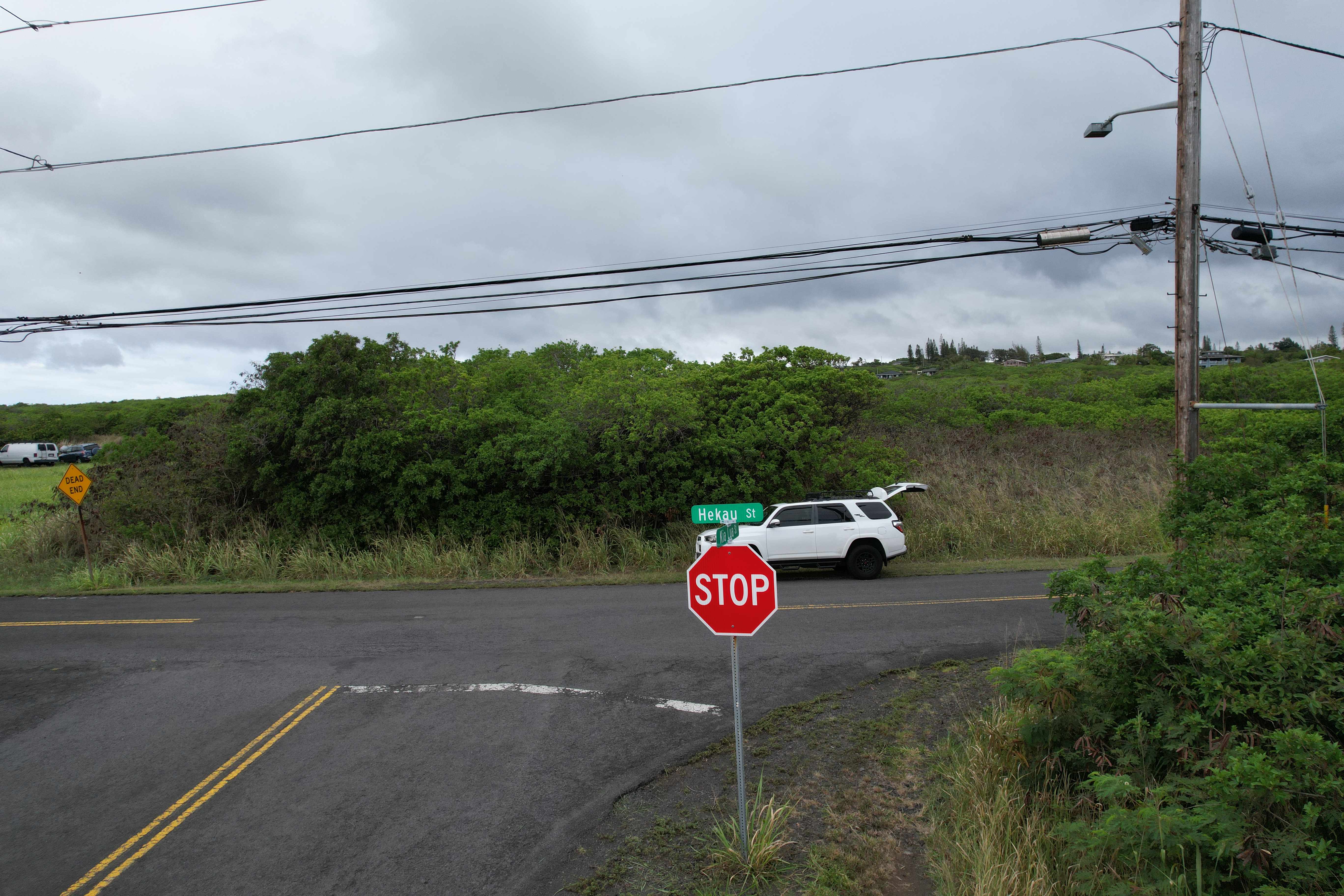 Naalehu, HI 96772,HEKAU ST