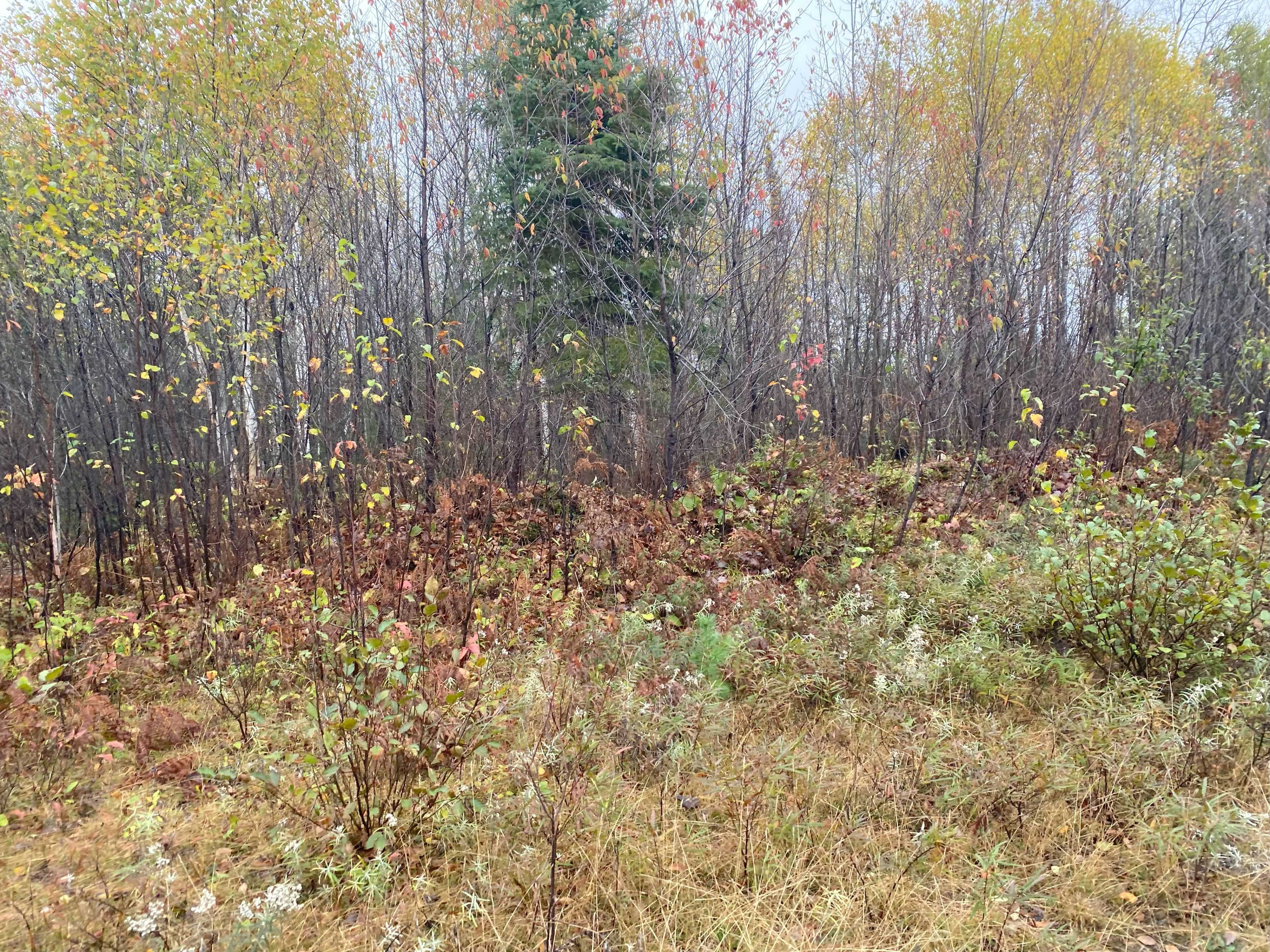 Englehart, ON P0J 1H0,Lt 1 Con 6 54R-6390 Lot 1 Con 6 Marter TWP RD