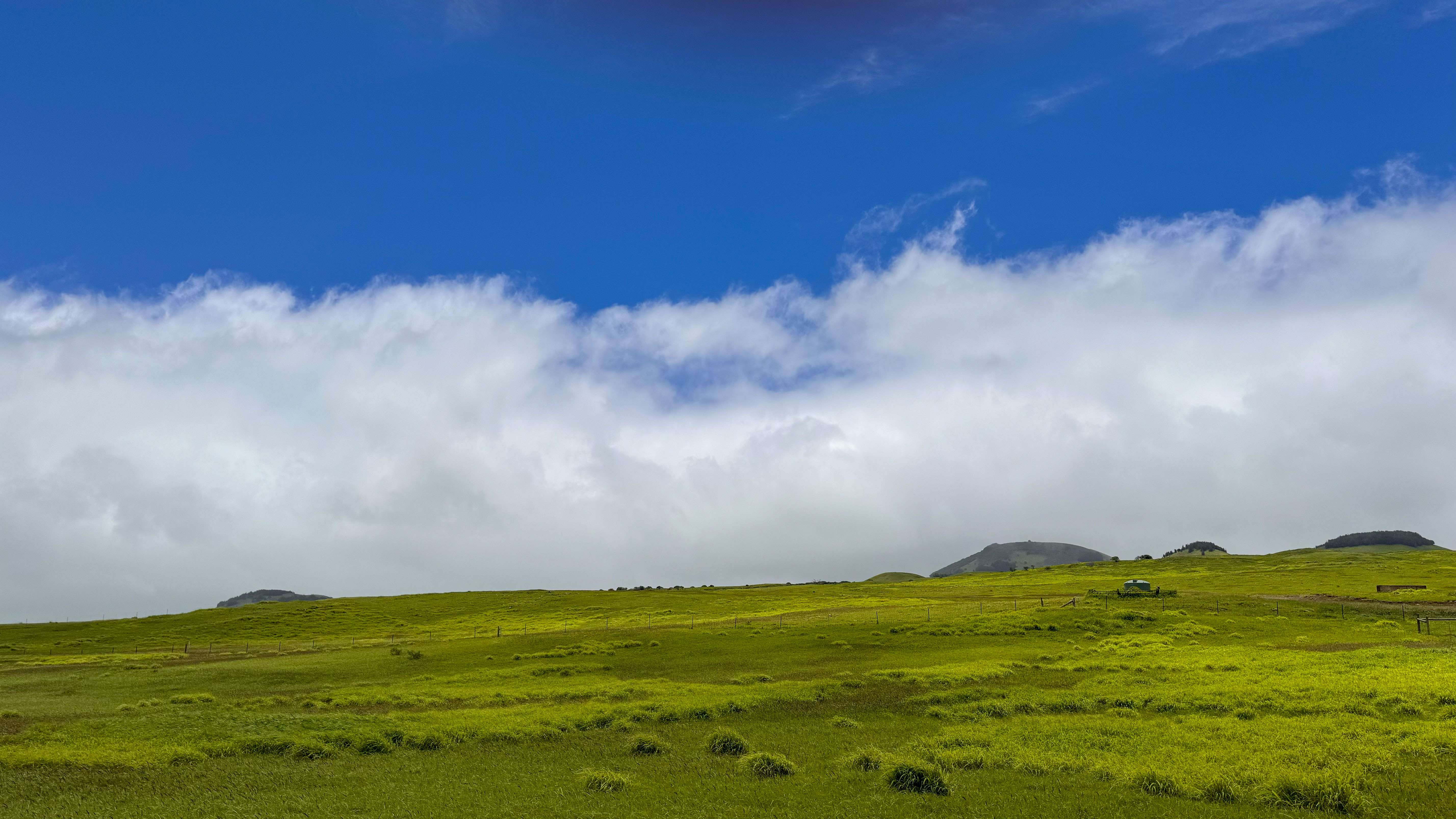 Kamuela, HI 96743,UALANI PL