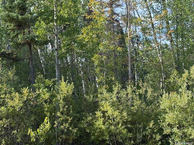 La Ronge, SK S0J 1L0,2008 Laronge AVENUE