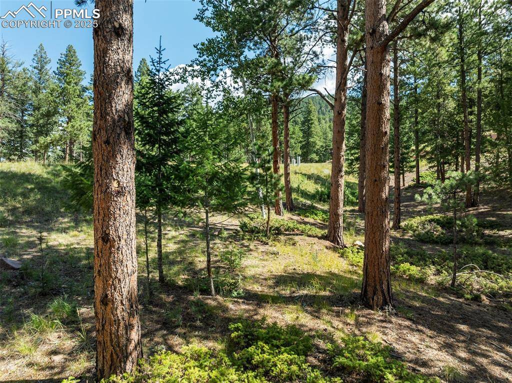 Woodland Park, CO 80863,311 Thunder Ridge DR