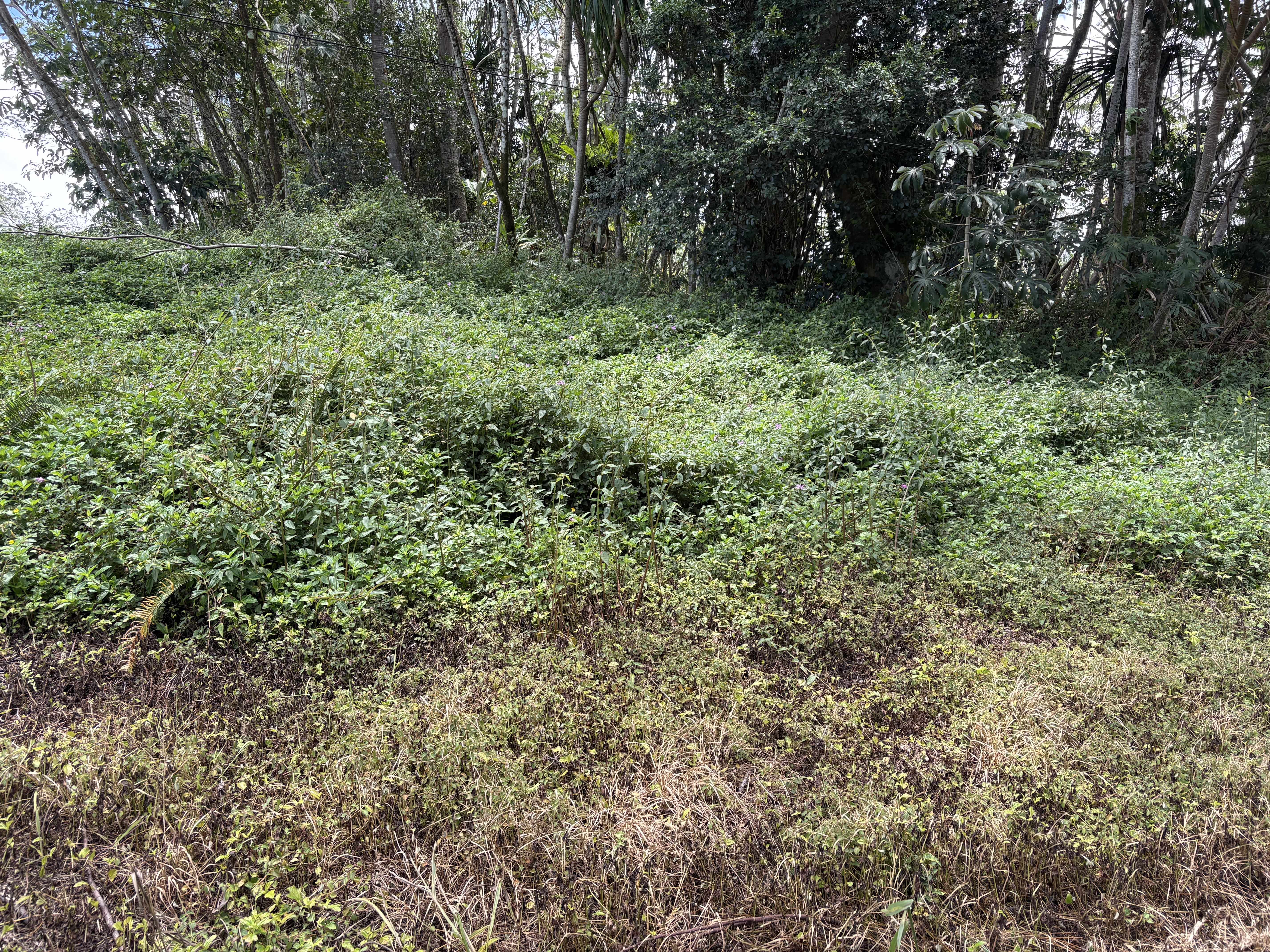 Pahoa, HI 96778,15-281 KAHAKAI BLVD