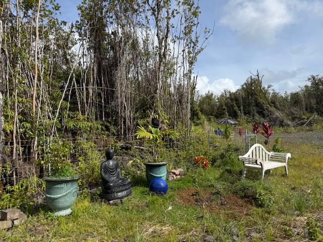 Mountain View, HI 96771,PALAINUI AVE