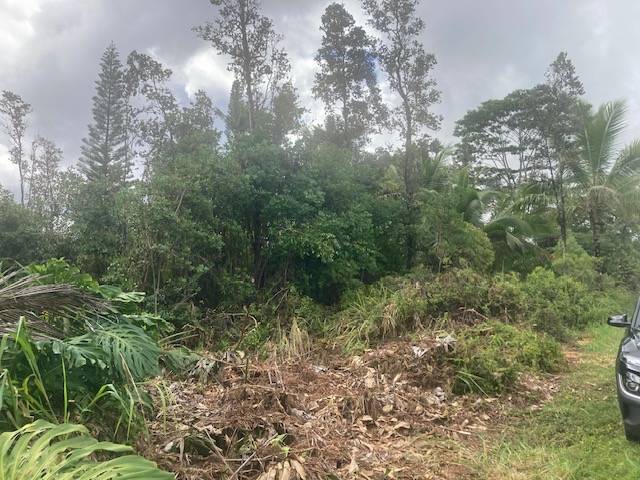 Pahoa, HI 96778,KING KAMEHAMEHA BLVD