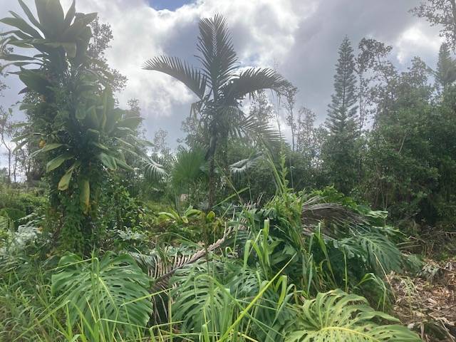 Pahoa, HI 96778,KING KAMEHAMEHA BLVD