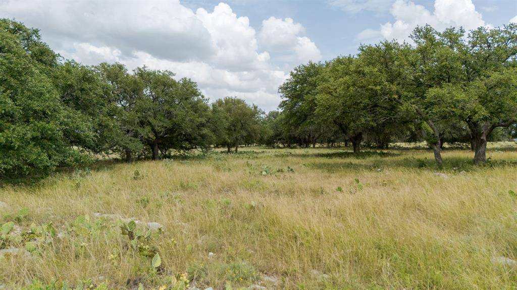 Lampasas, TX 76550,Lot 110 Kudu Court
