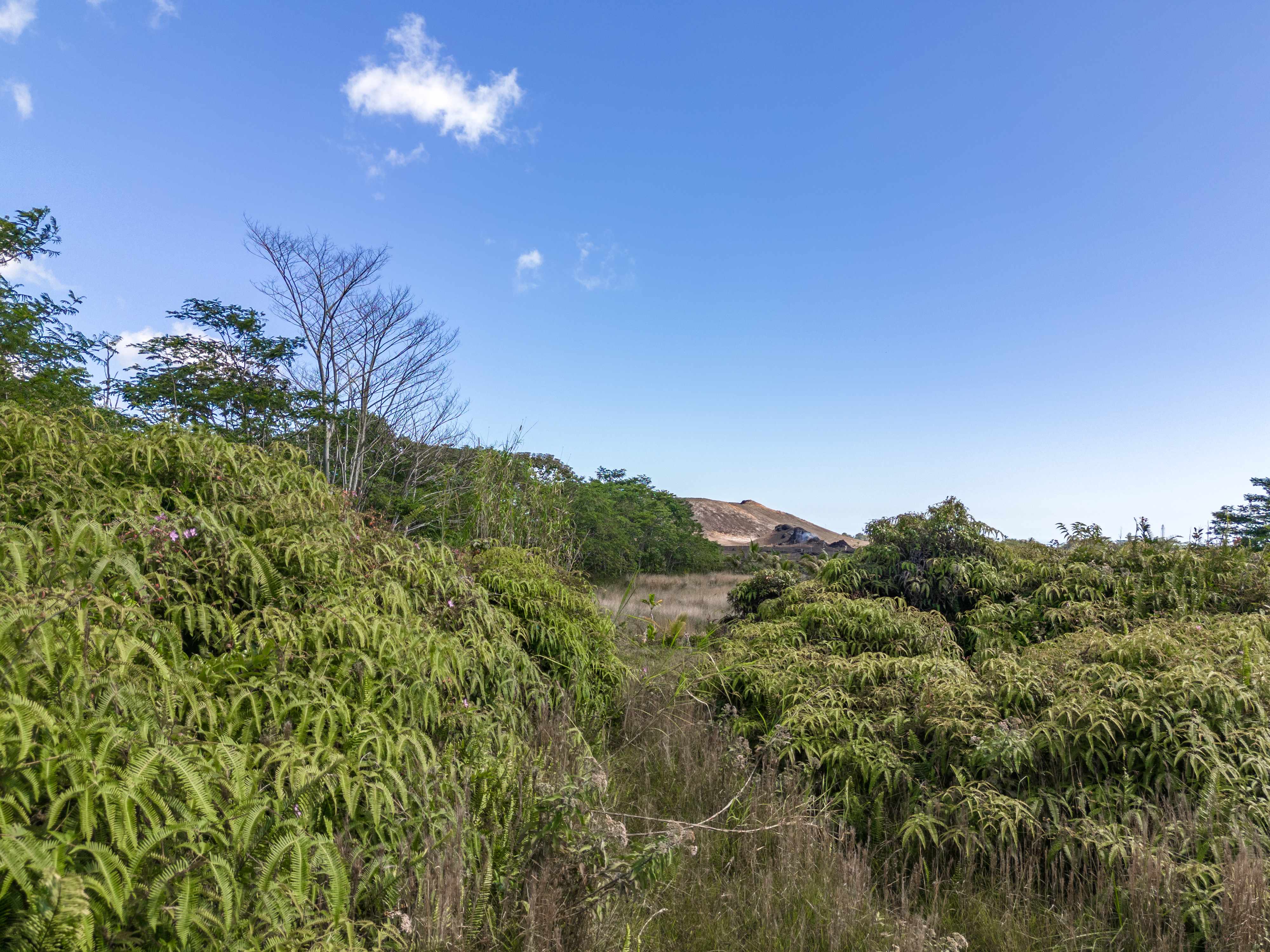 Pahoa, HI 96778,13-3559 KUPONO ST